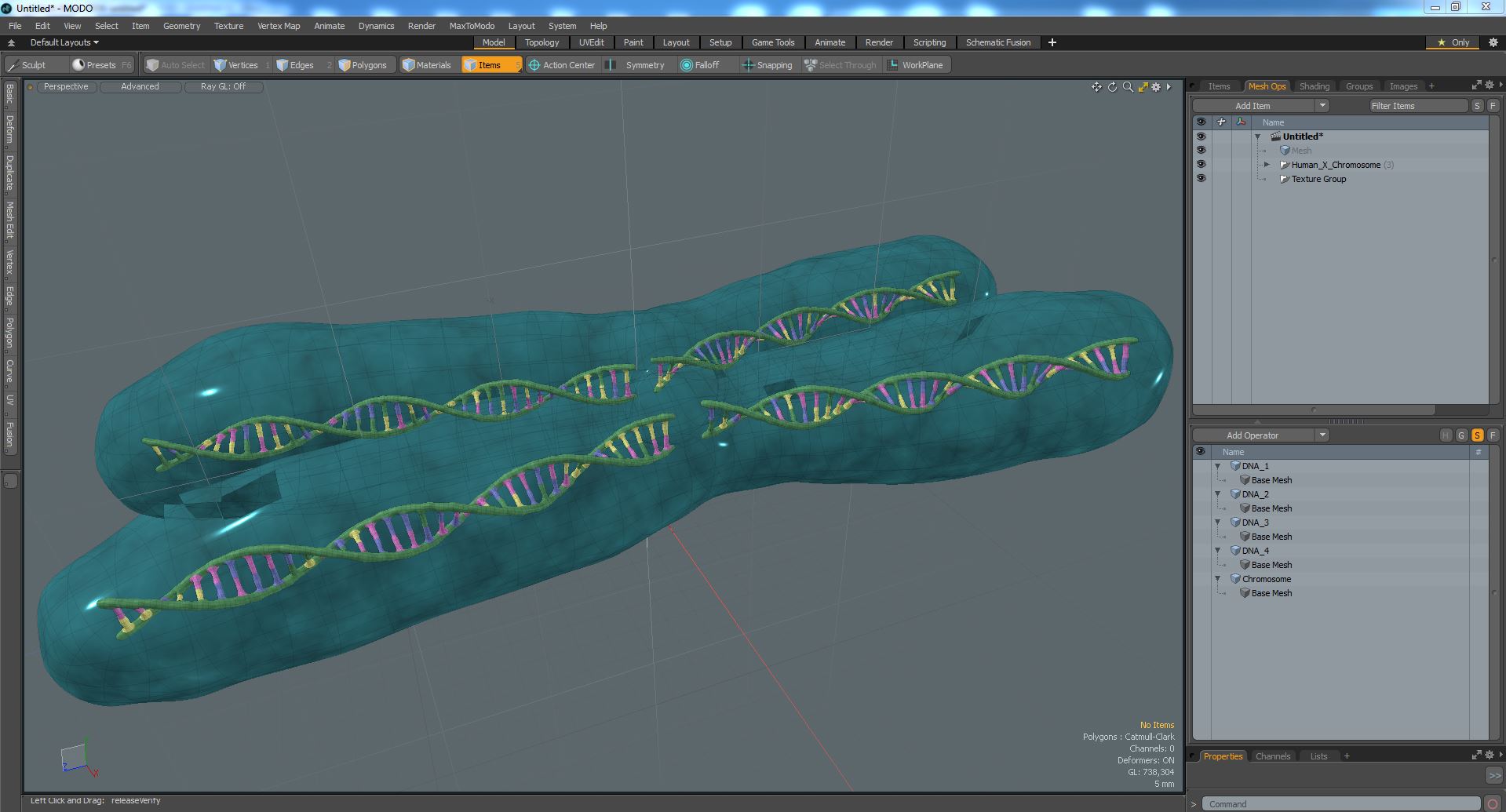 3D Human X Chromosome model