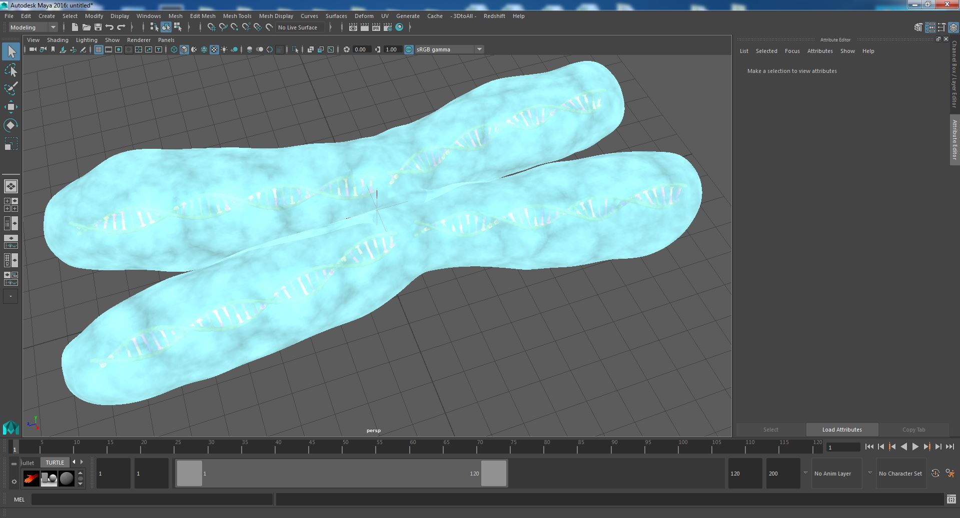 3D Human X Chromosome model