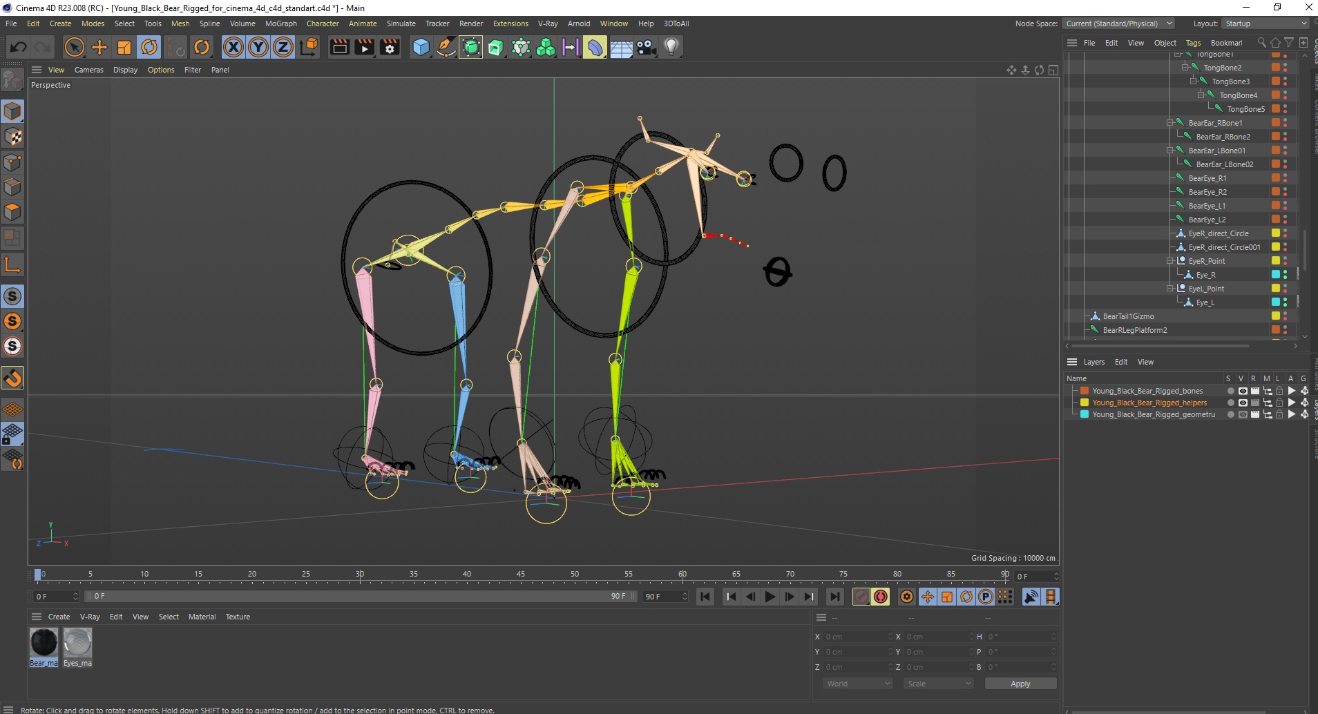 Young Black Bear Rigged for Cinema 4D 3D