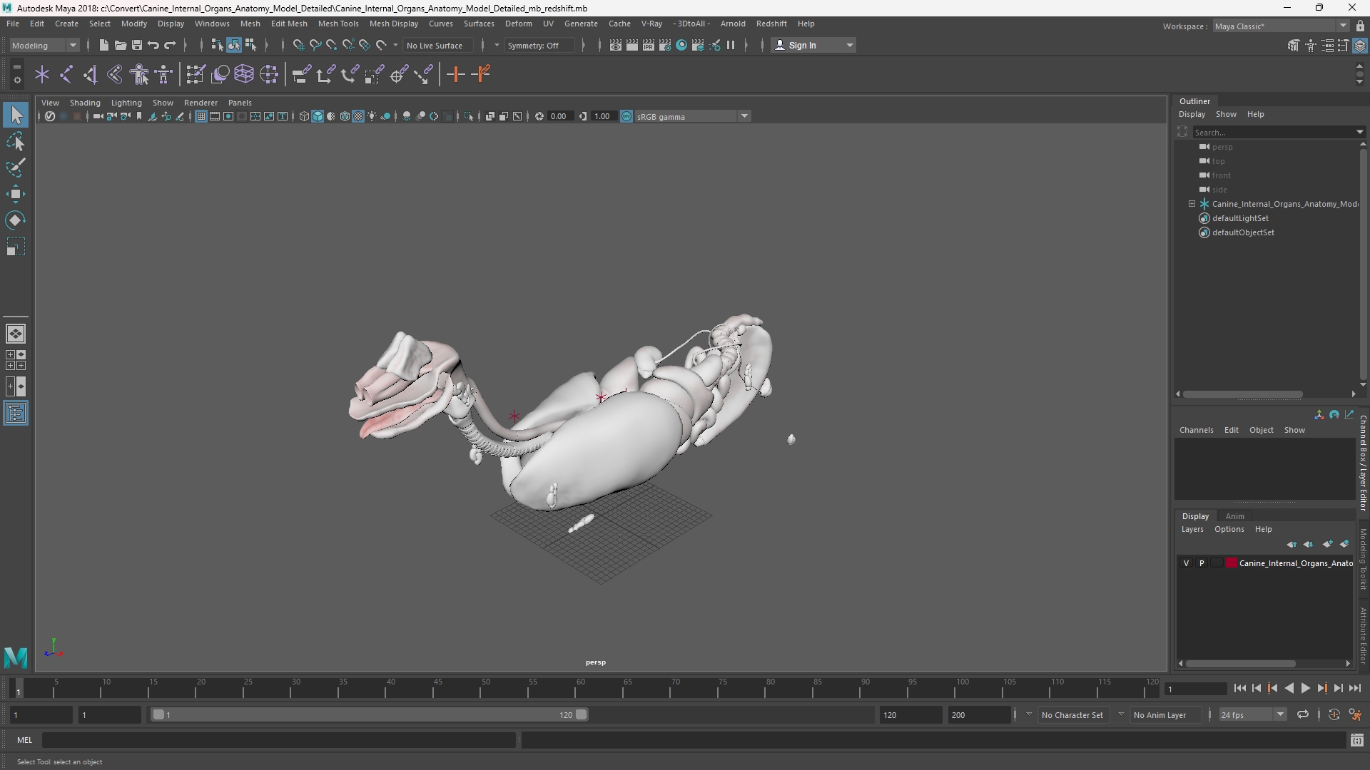 Canine Internal Organs Anatomy Model Detailed, view 10