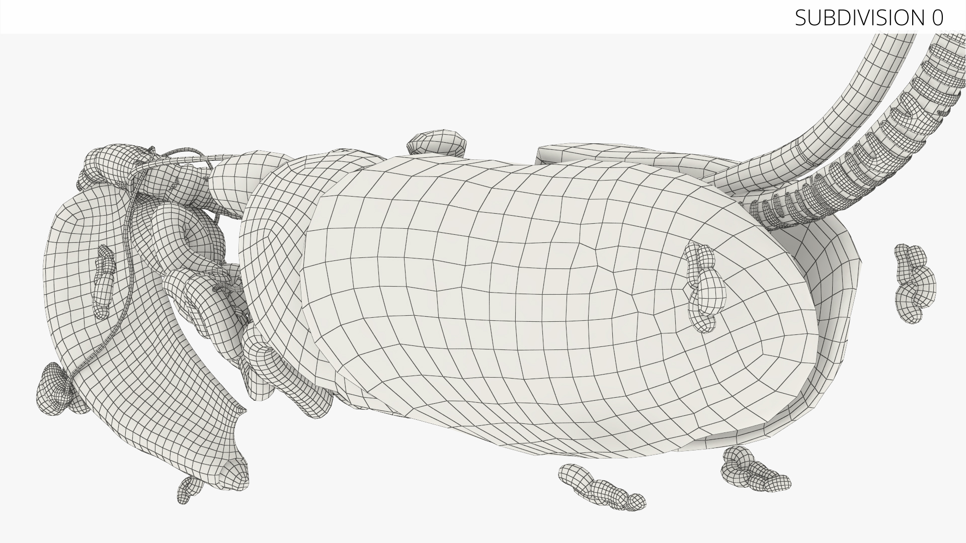 Canine Internal Organs Anatomy Model Detailed, view 5