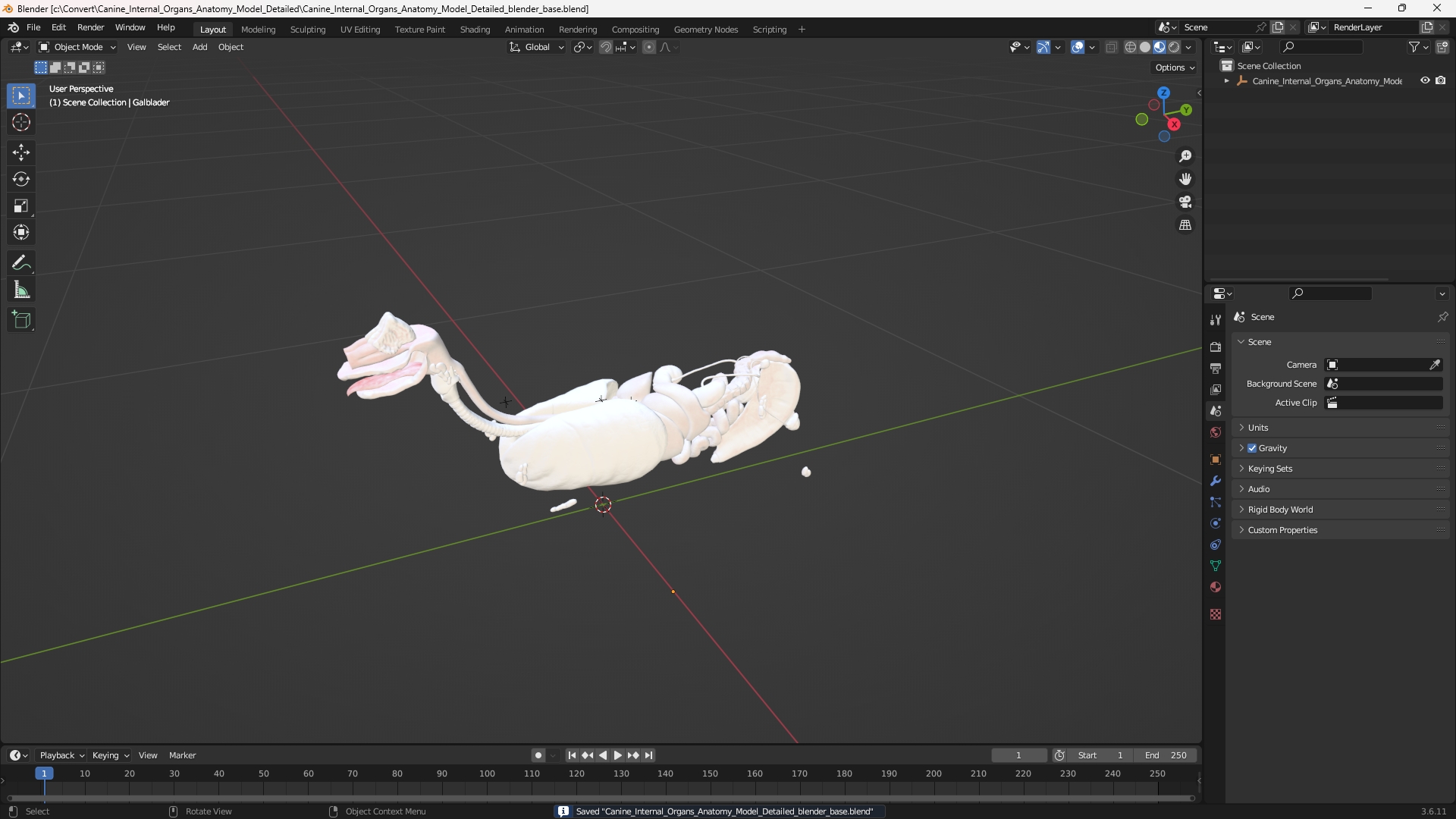 Canine Internal Organs Anatomy Model Detailed, view 9