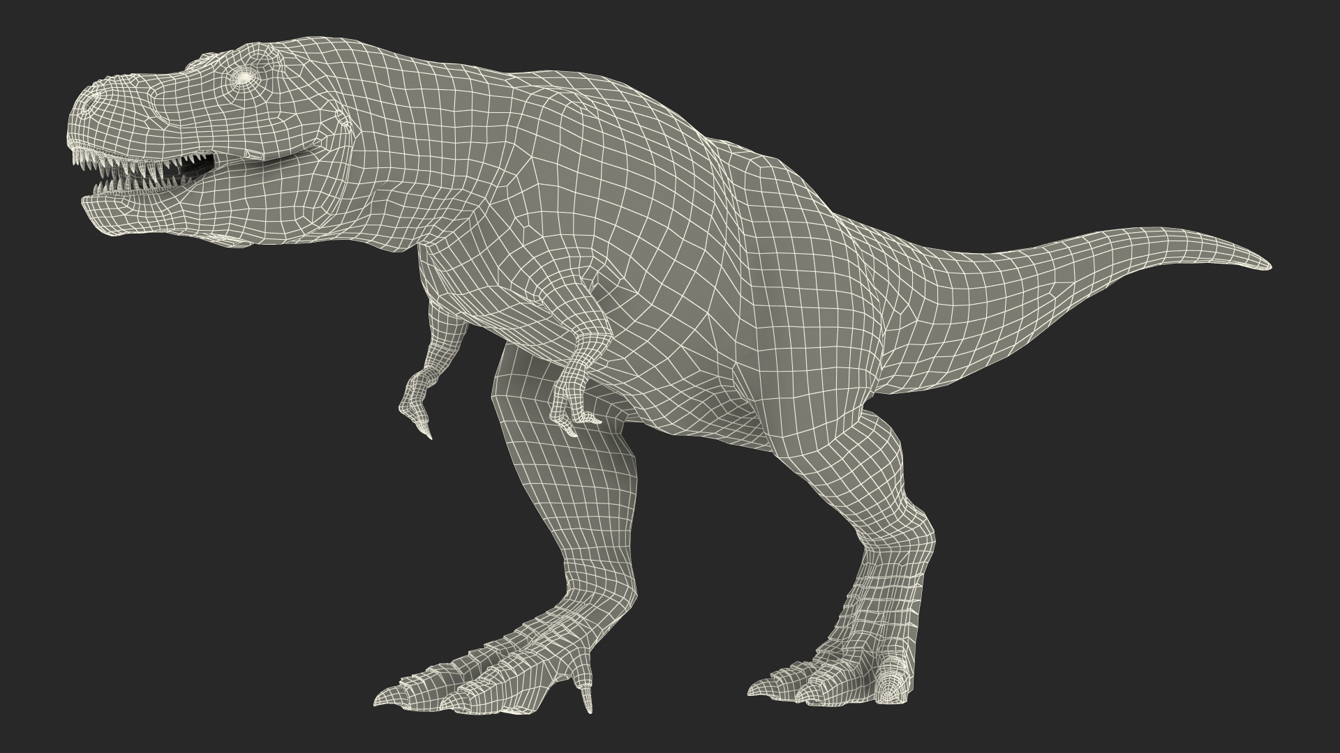 3D Animated Tyrannosaurus Rex Walking Rigged