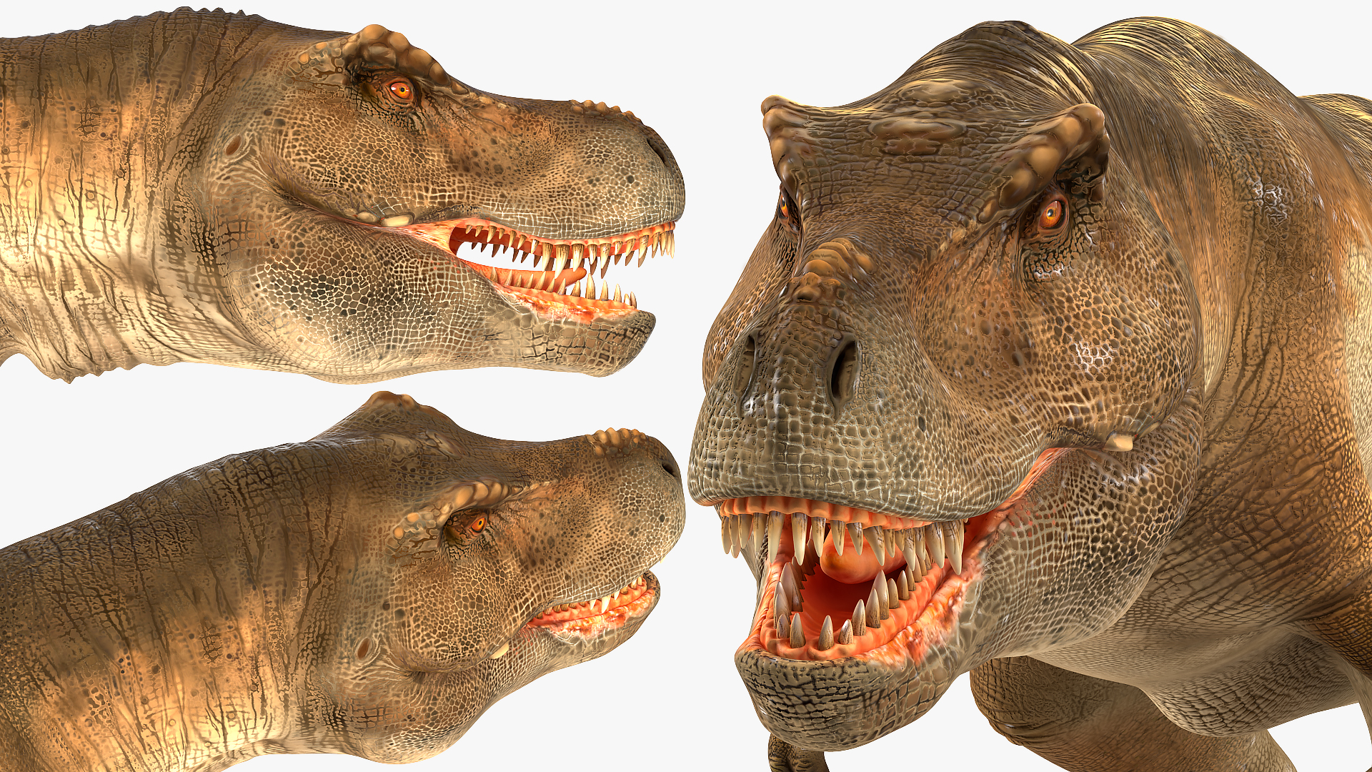 3D Animated Tyrannosaurus Rex Walking Rigged