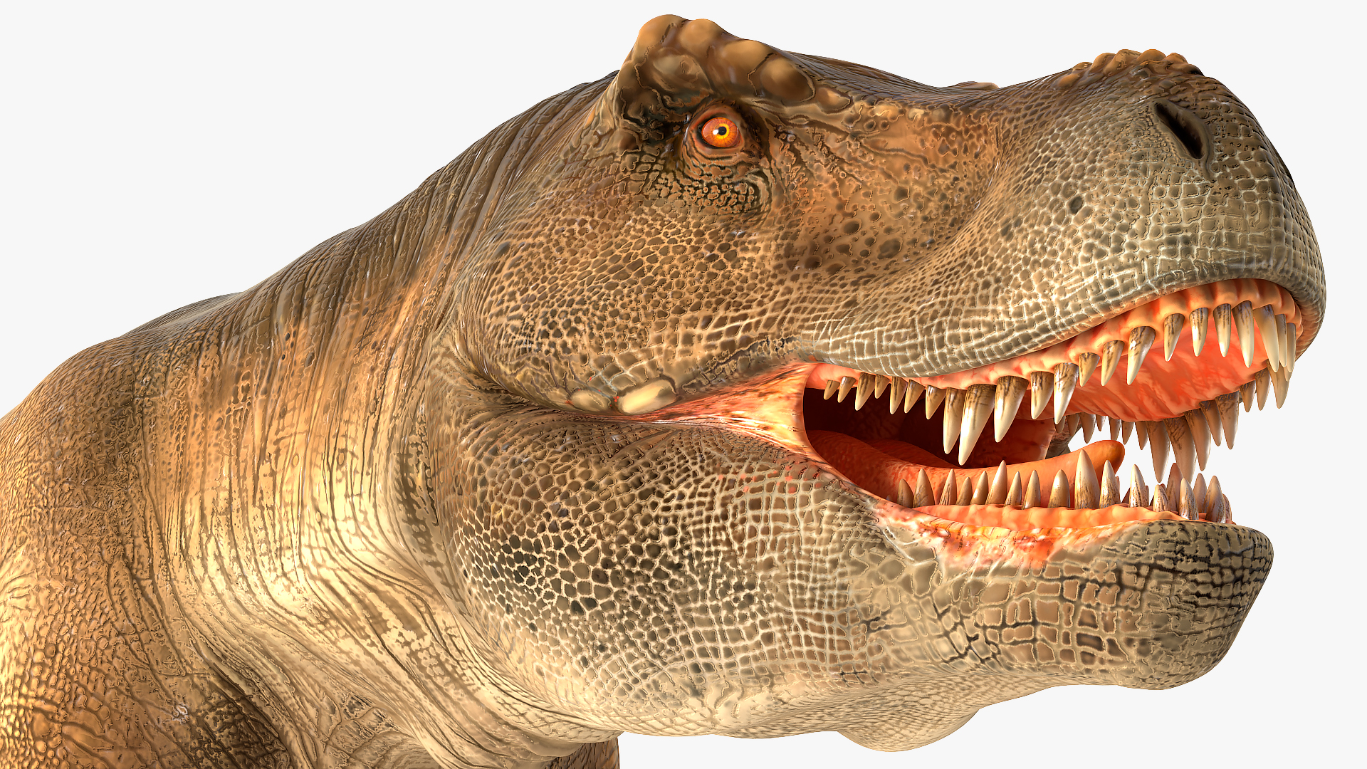 3D Animated Tyrannosaurus Rex Walking Rigged