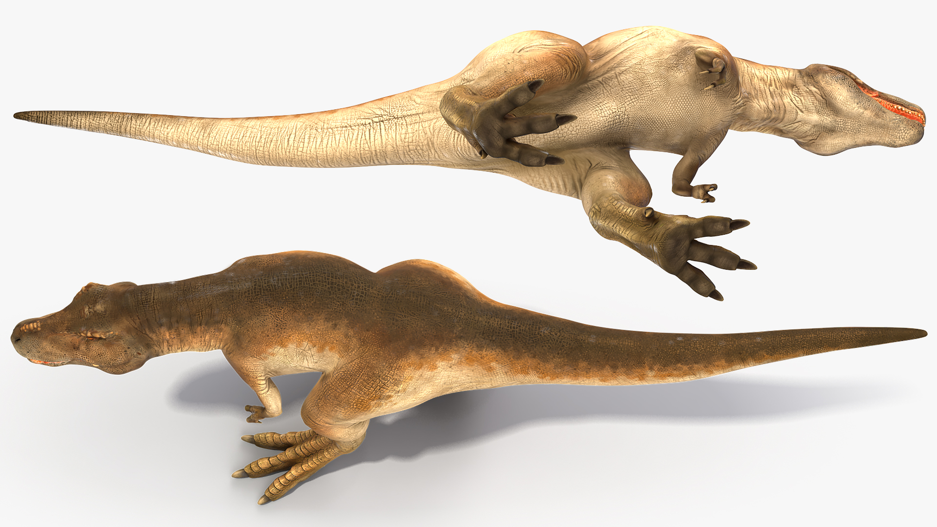 3D Animated Tyrannosaurus Rex Walking Rigged