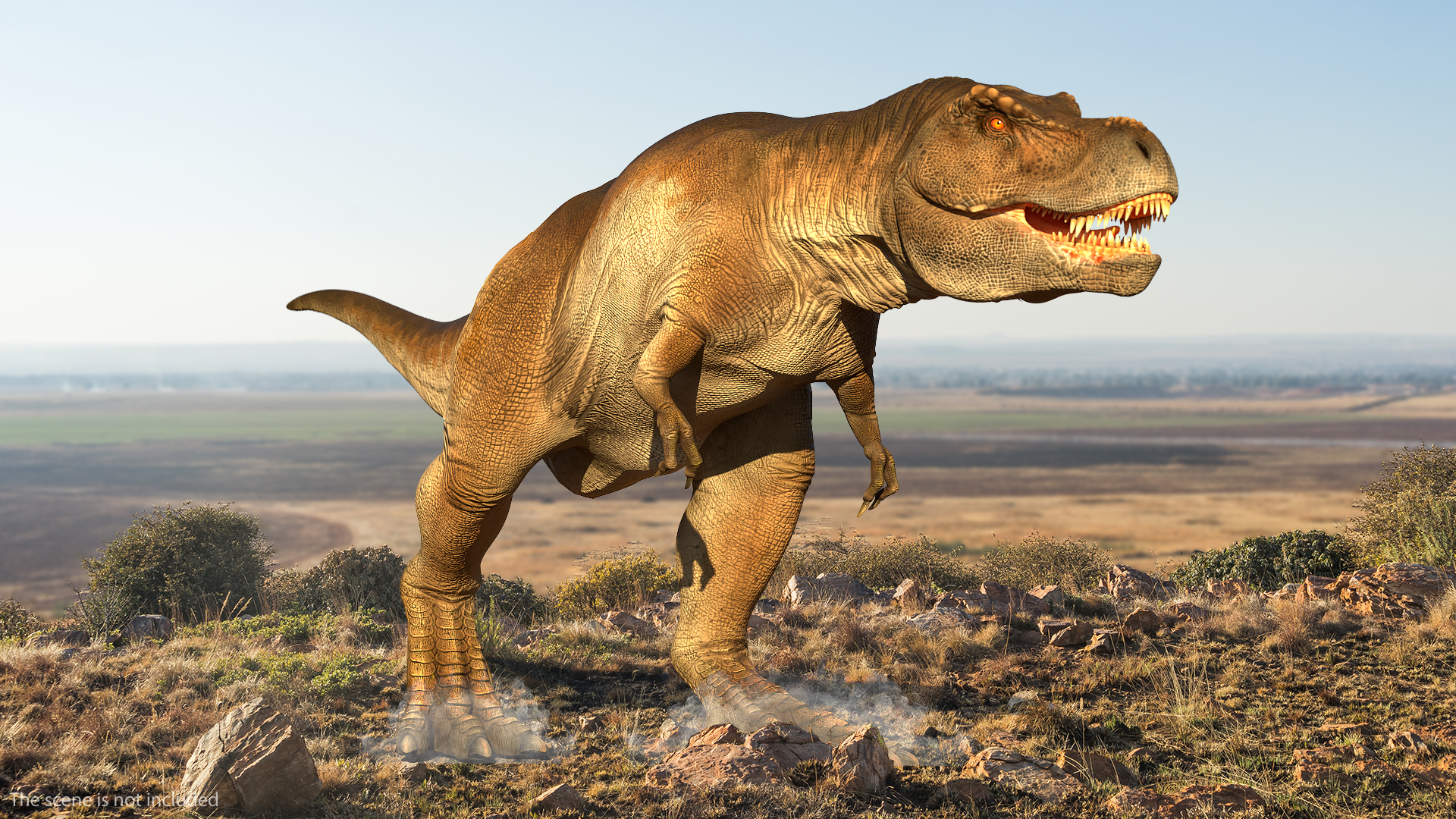 3D Animated Tyrannosaurus Rex Walking Rigged