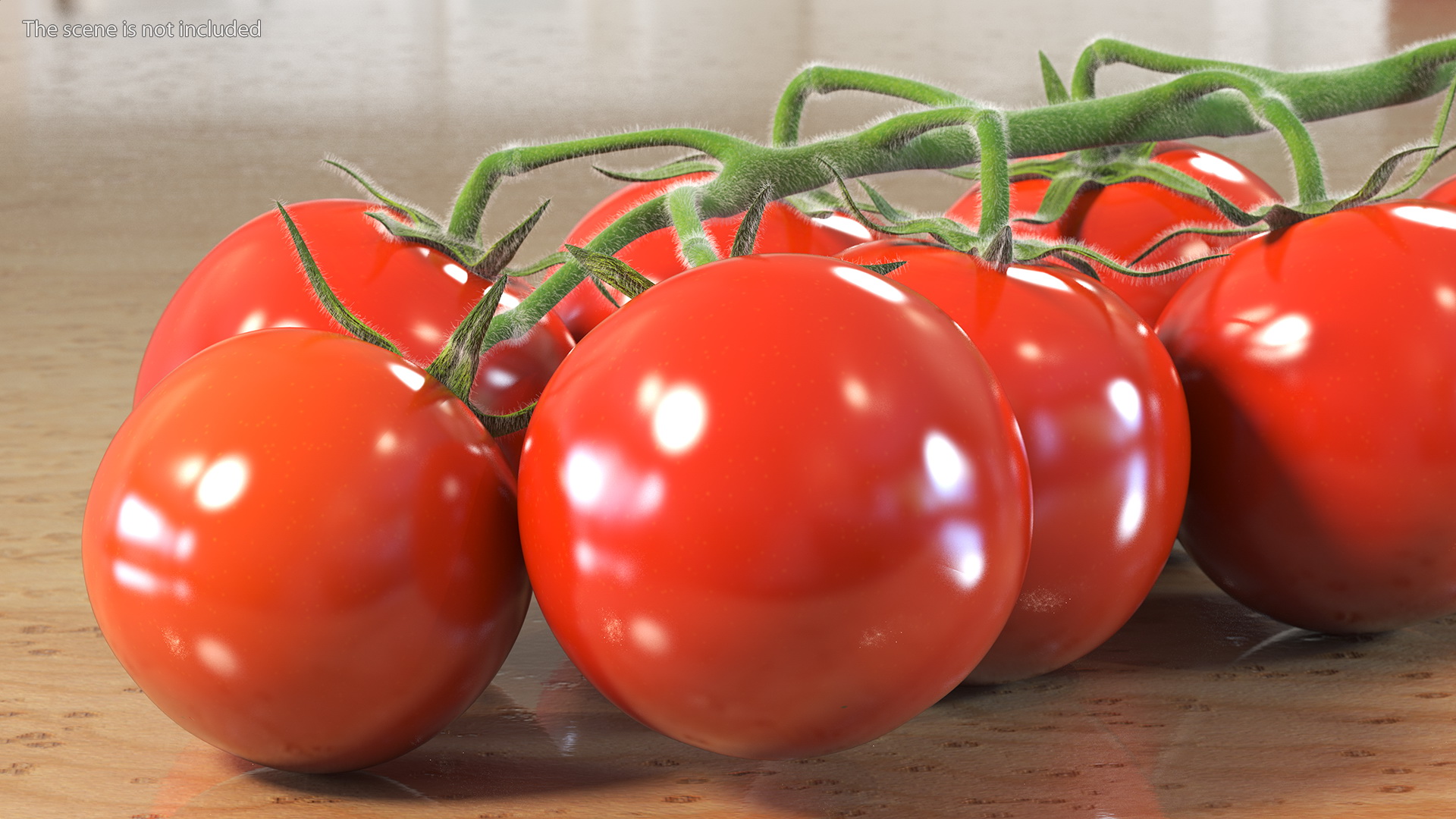 Fresh Cherry Tomatoes on the Vine Fur 3D
