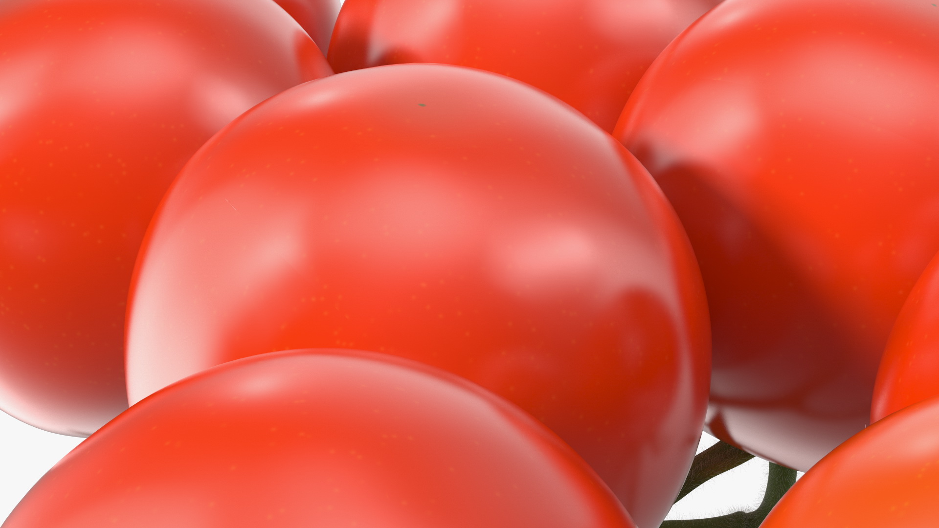 Fresh Cherry Tomatoes on the Vine Fur 3D