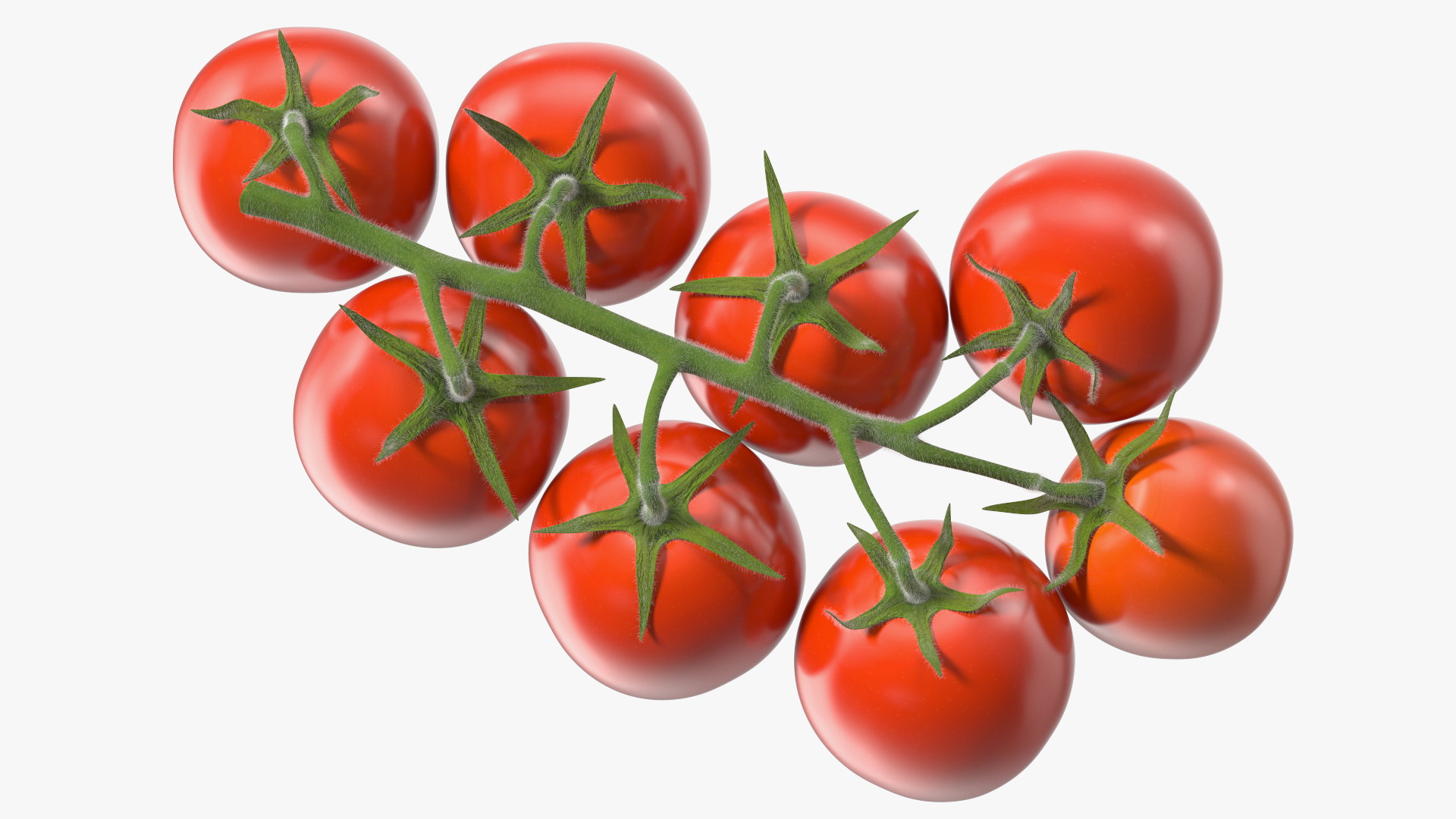 Fresh Cherry Tomatoes on the Vine Fur 3D