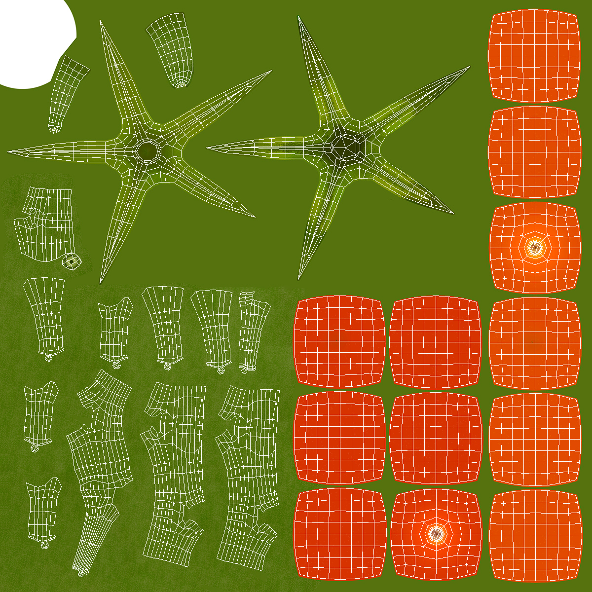 Fresh Cherry Tomatoes on the Vine Fur 3D