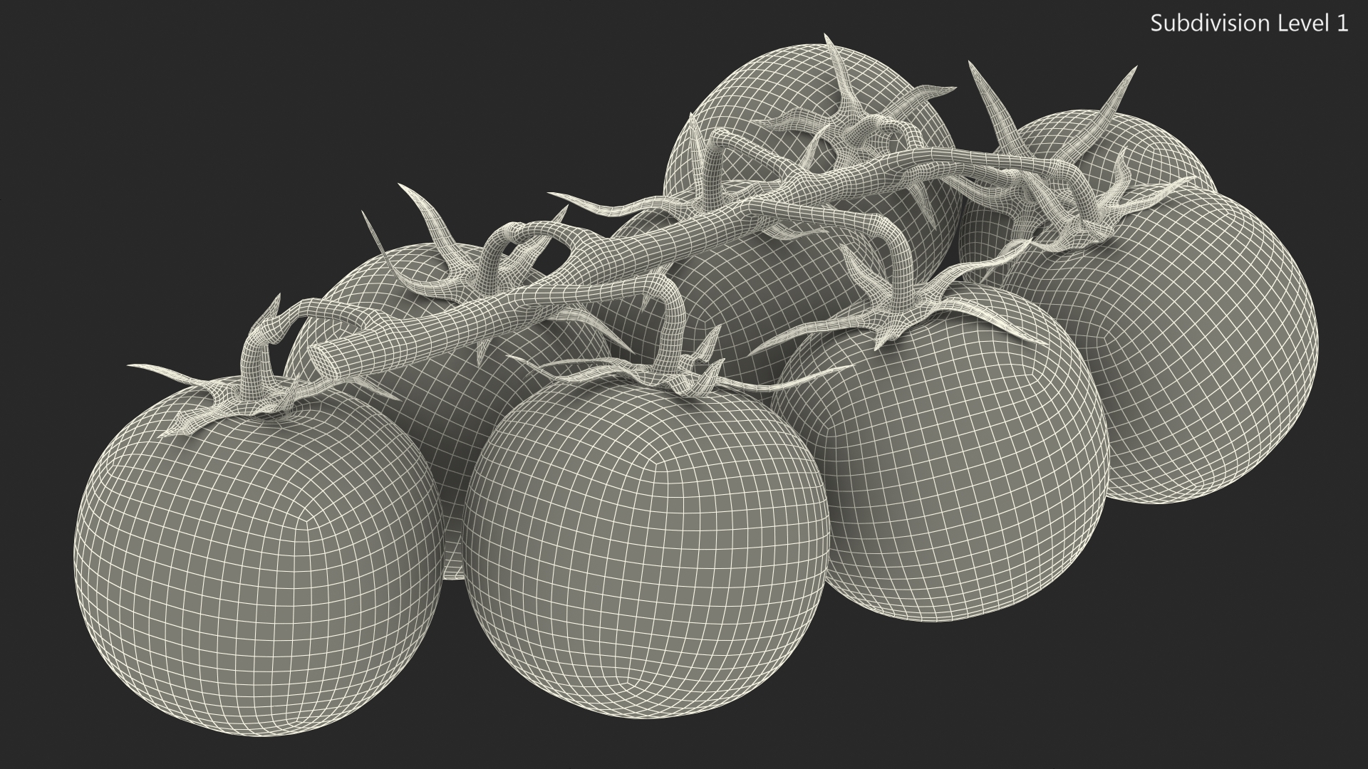 Fresh Cherry Tomatoes on the Vine Fur 3D
