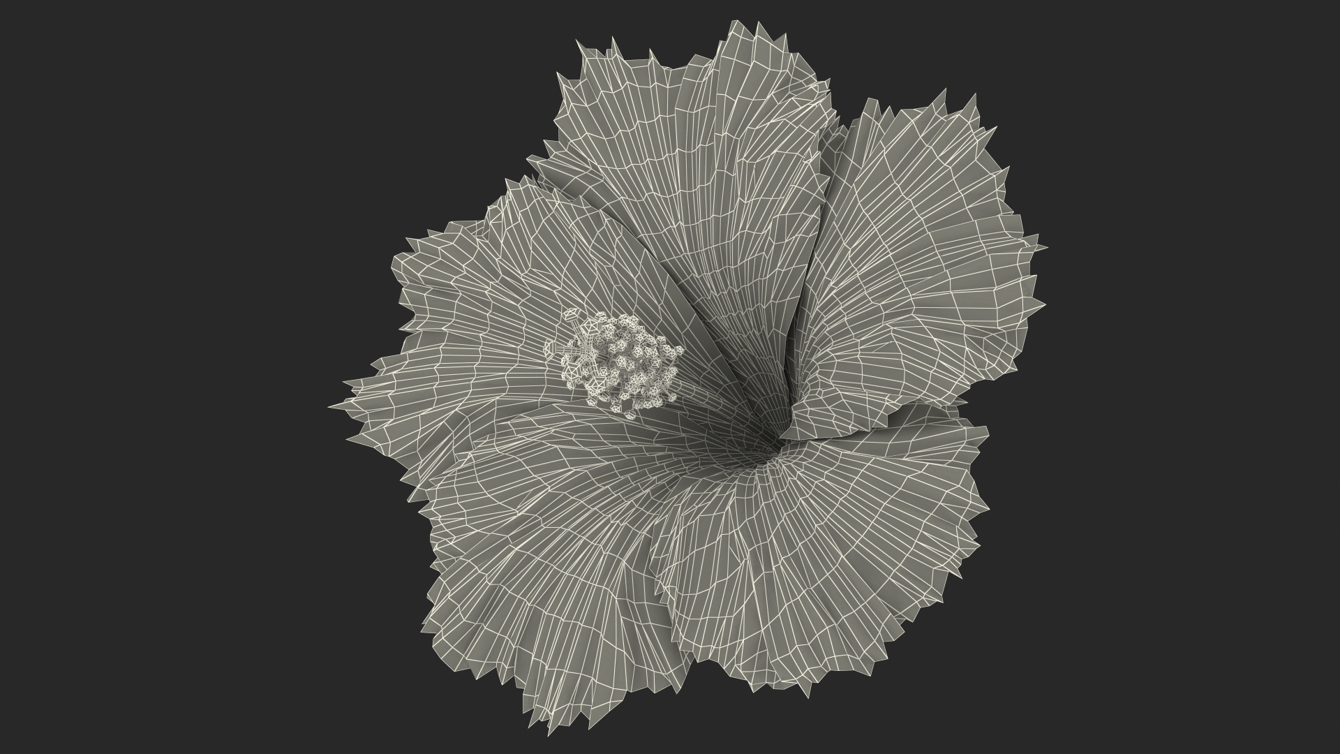 3D Blooming Hibiscus Flower Orange