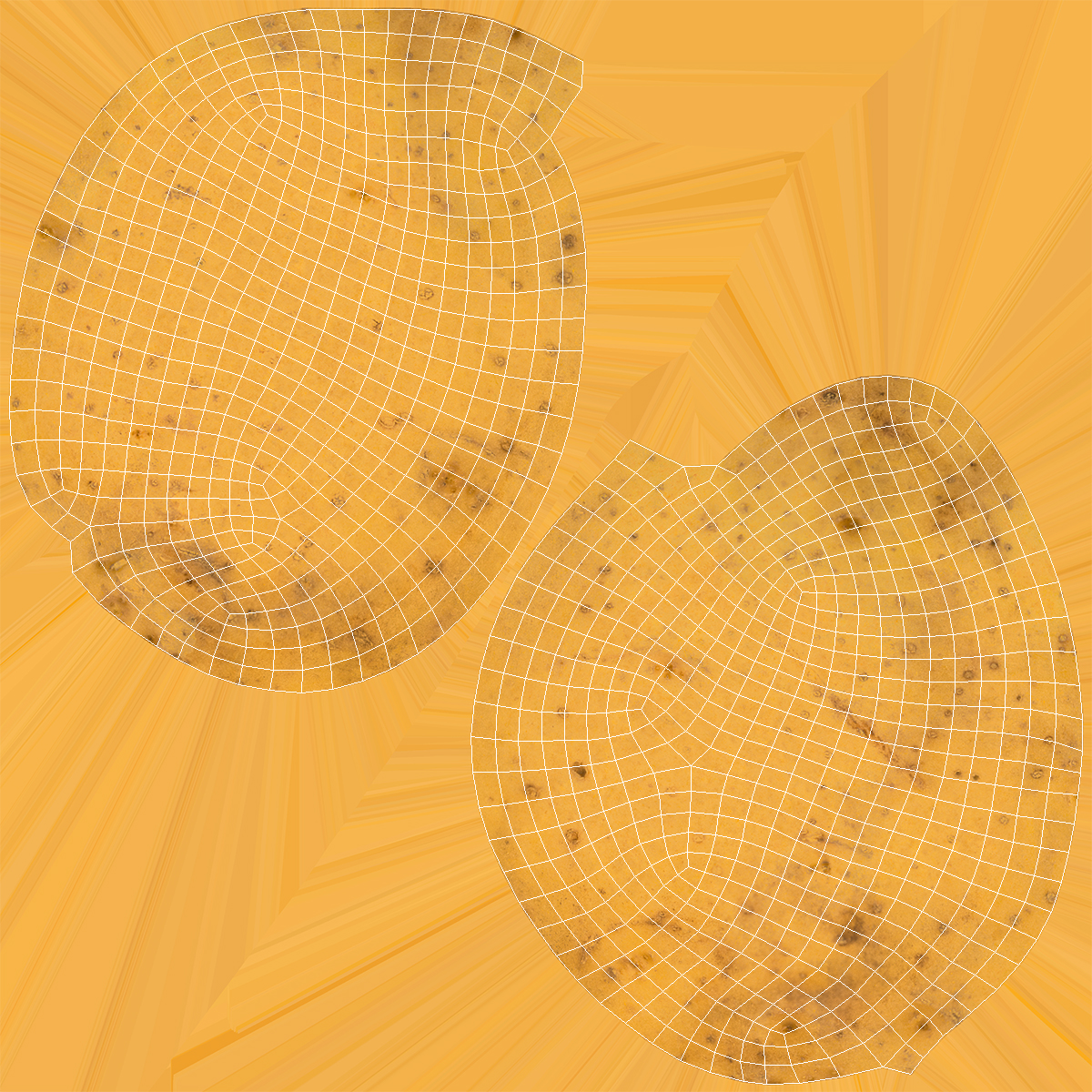 Unpeeled Raw Potato 3D model
