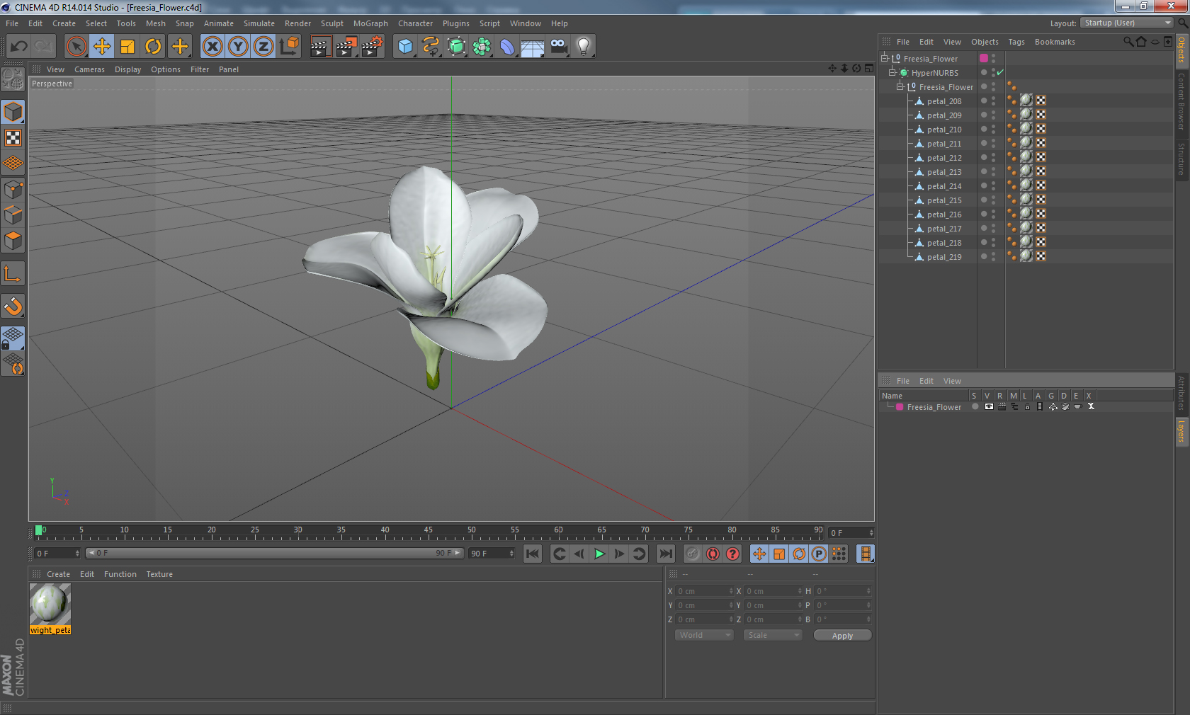 Freesia Flower 3D model