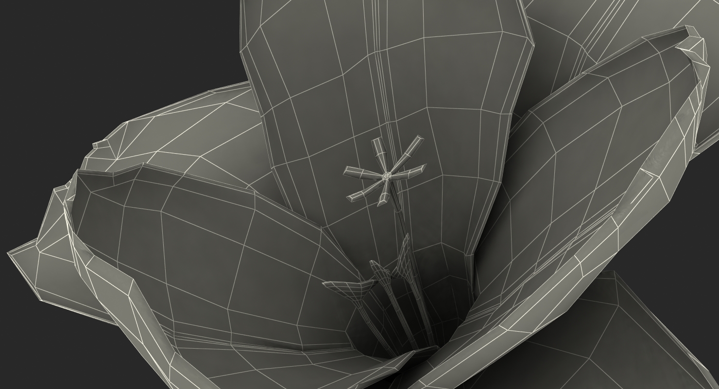 Freesia Flower 3D model