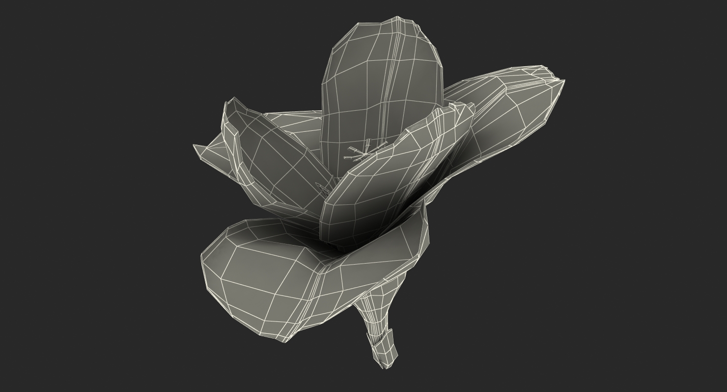 Freesia Flower 3D model