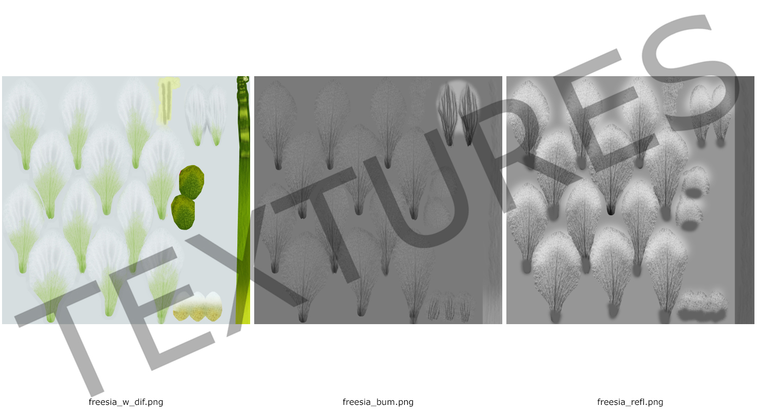 Freesia Flower 3D model