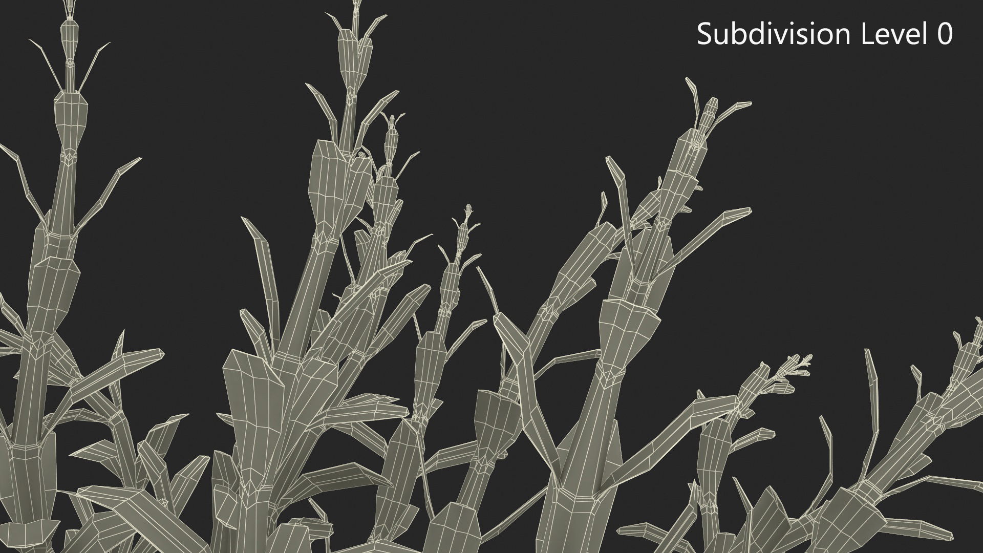 Aquarium Plant Rotala Green 3D