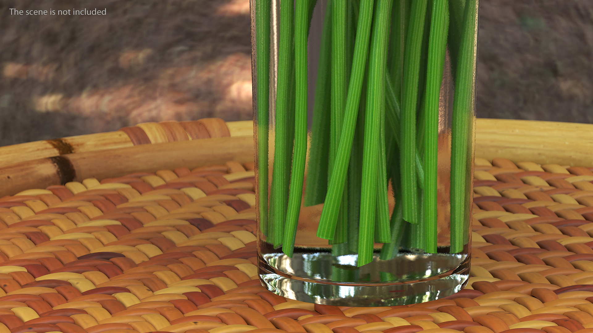 3D Dill Water Glass