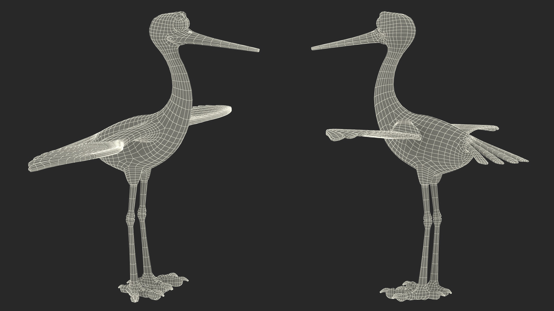 Cartoon Stork Rigged for Maya 3D model