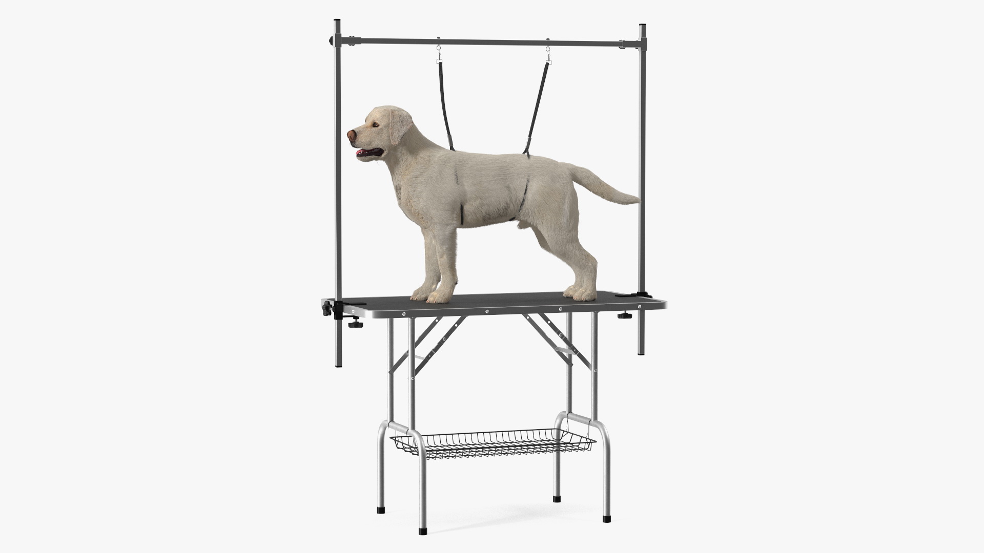 Grooming Table with Dog Fur 3D