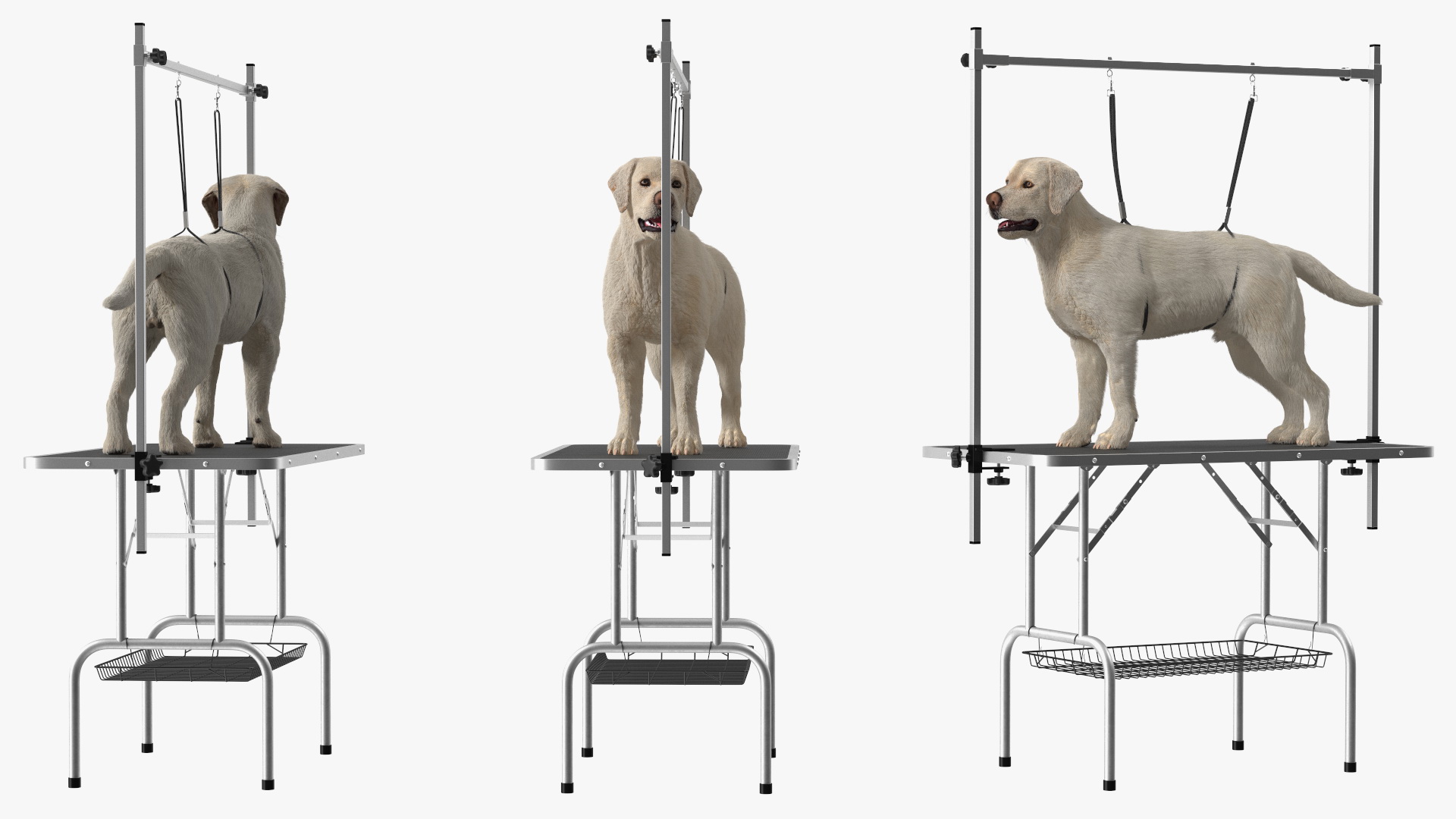 Grooming Table with Dog Fur 3D