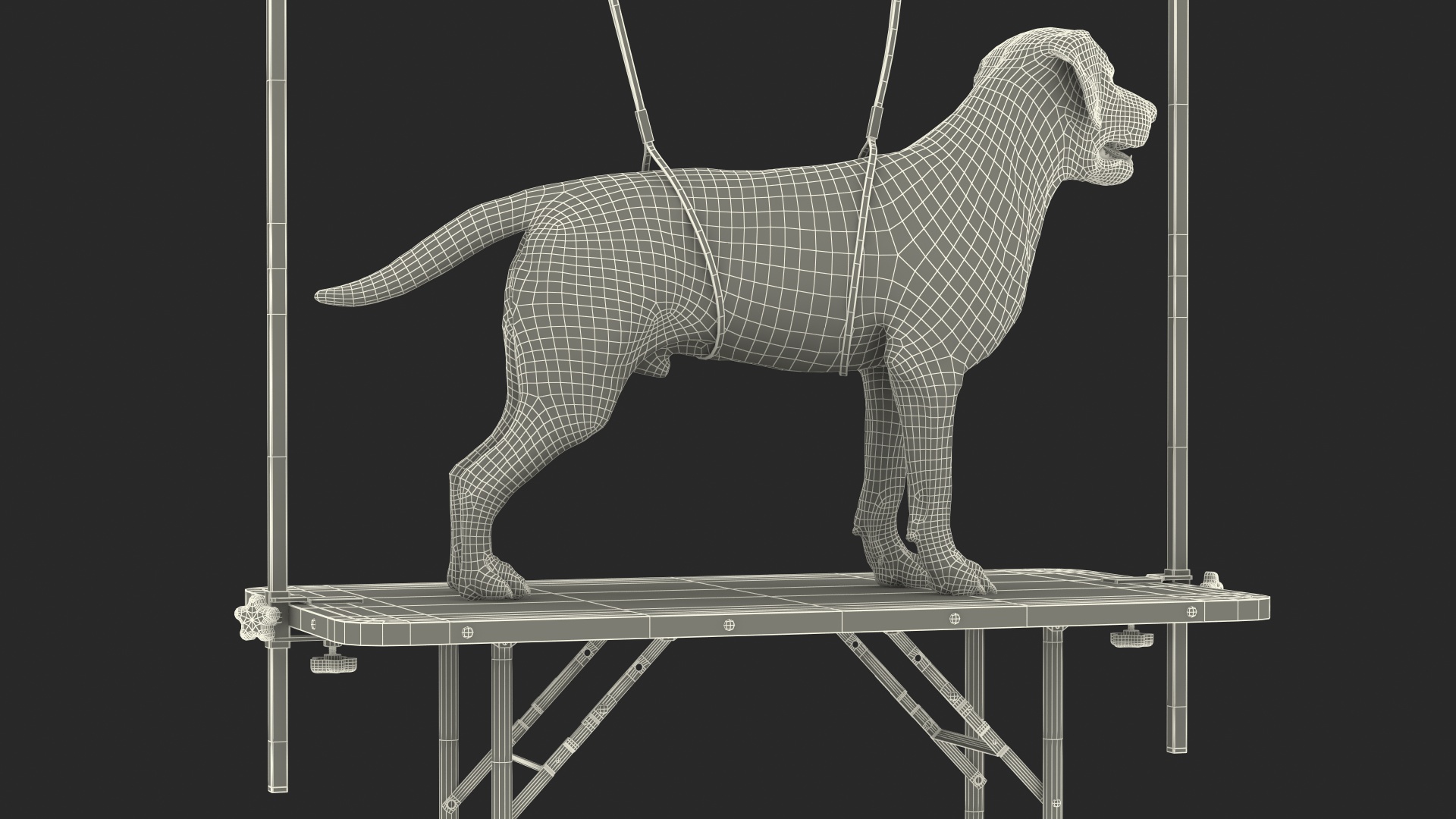 Grooming Table with Dog Fur 3D