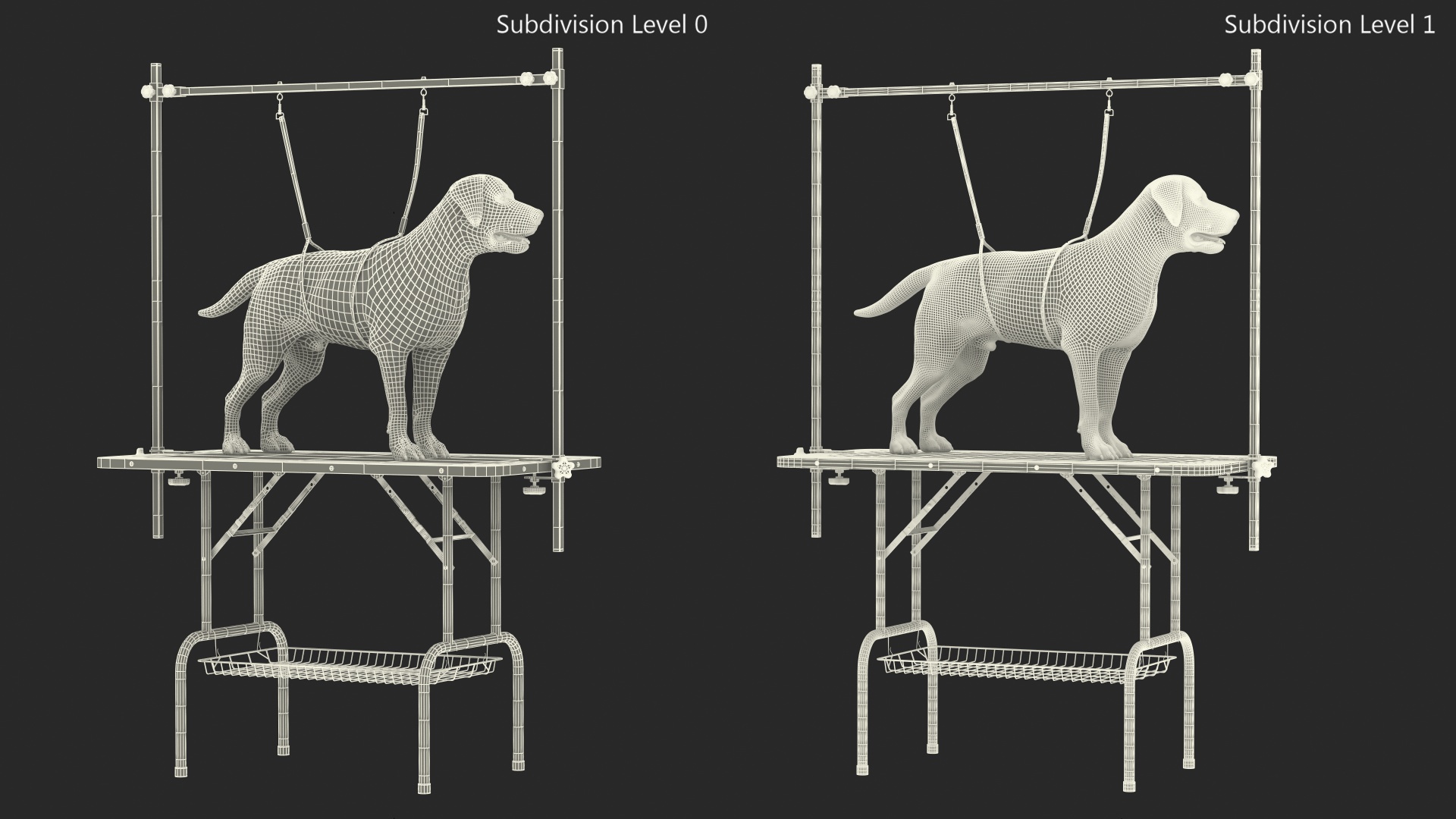 Grooming Table with Dog Fur 3D