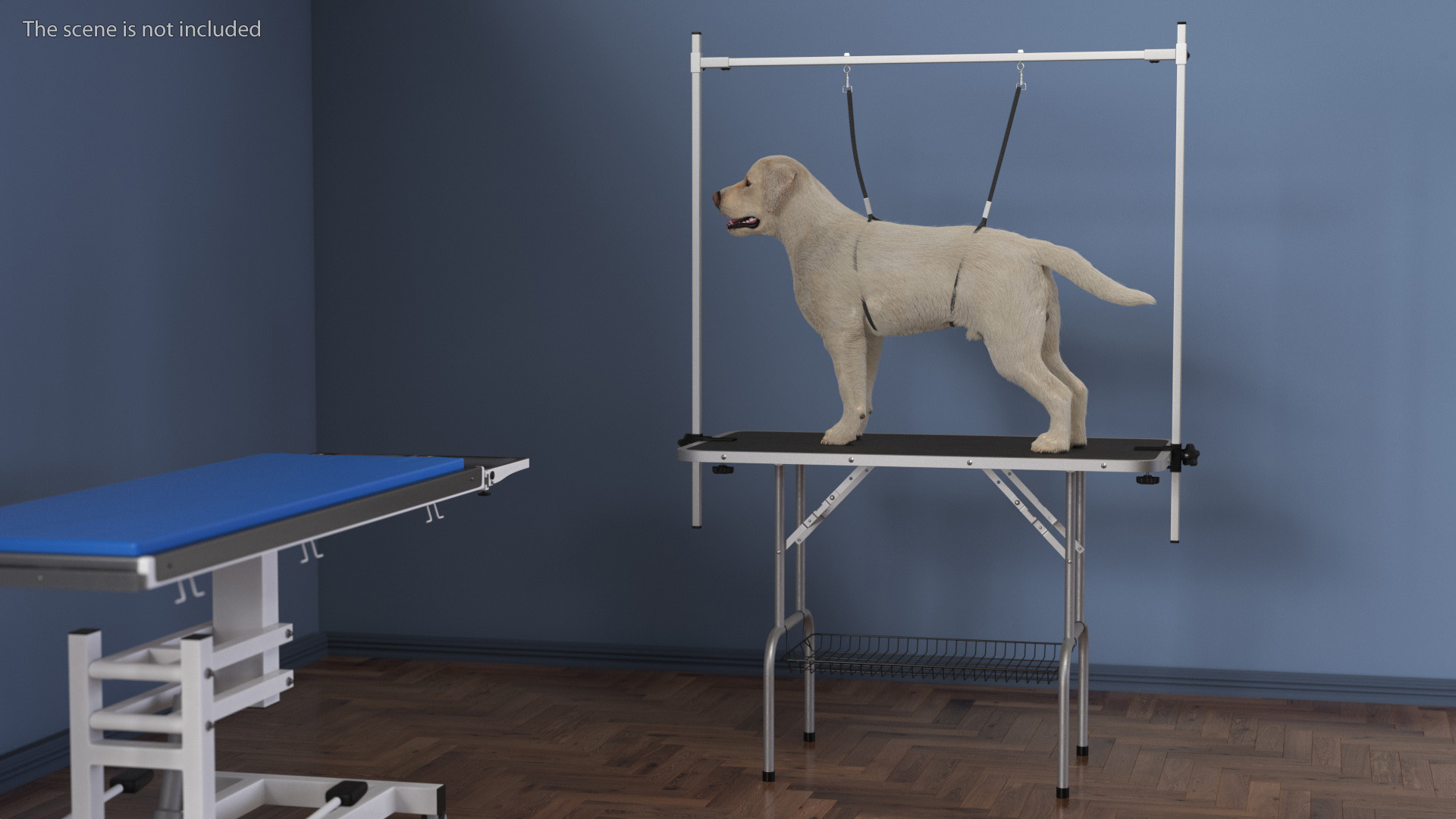 Grooming Table with Dog Fur 3D