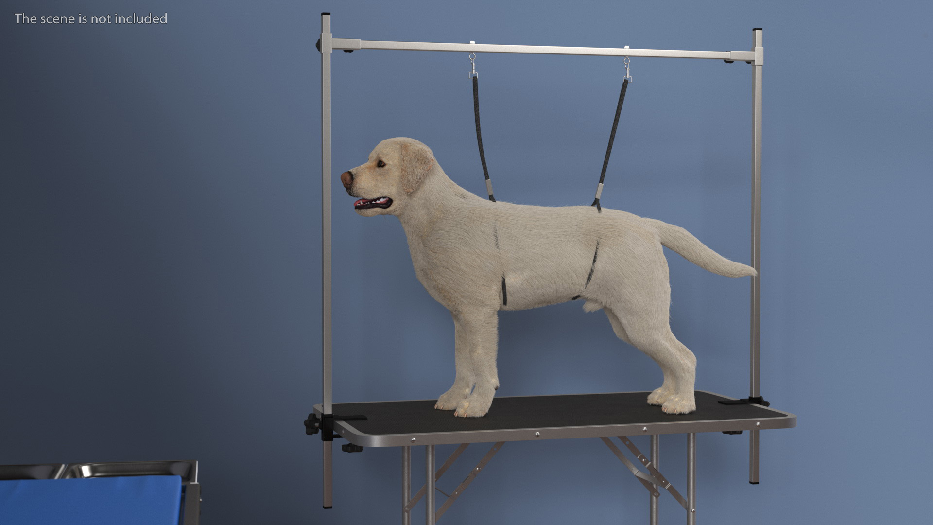 Grooming Table with Dog Fur 3D