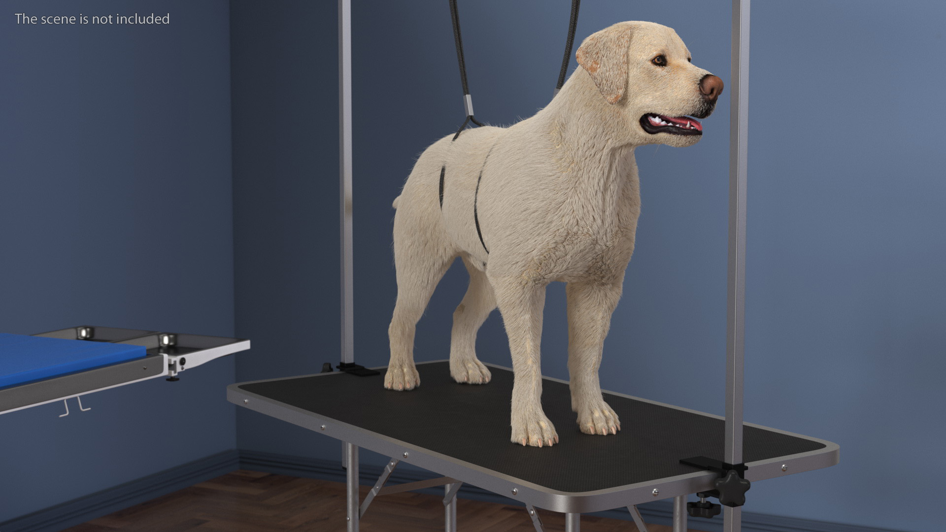 Grooming Table with Dog Fur 3D