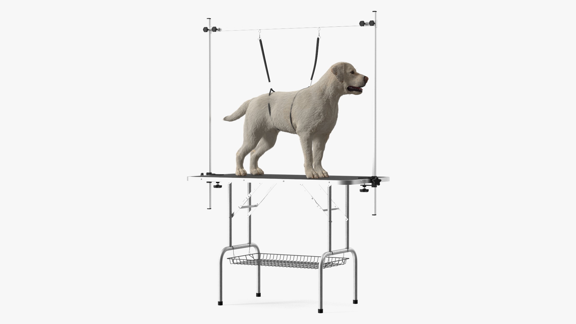 Grooming Table with Dog Fur 3D