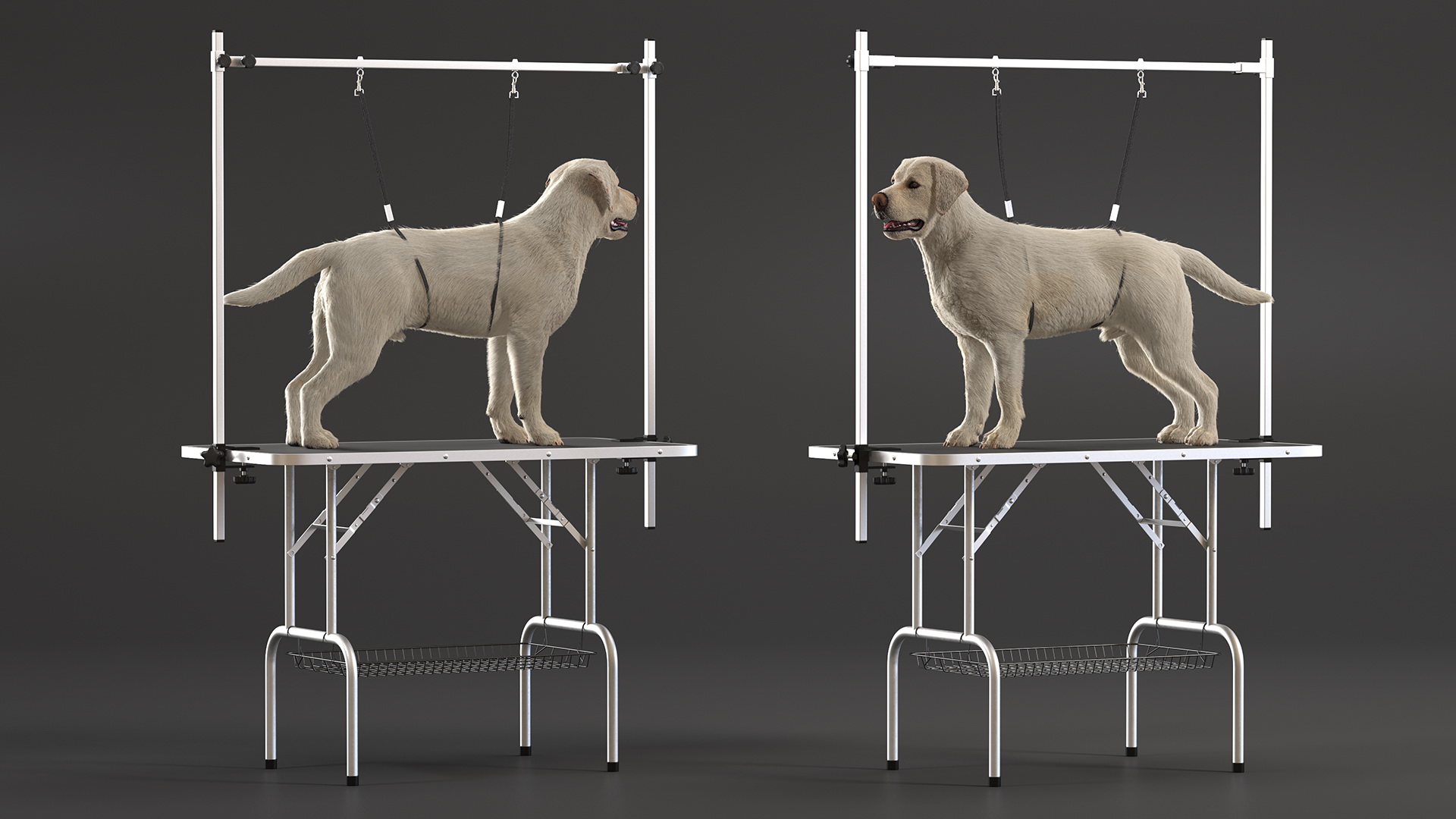 Grooming Table with Dog Fur 3D