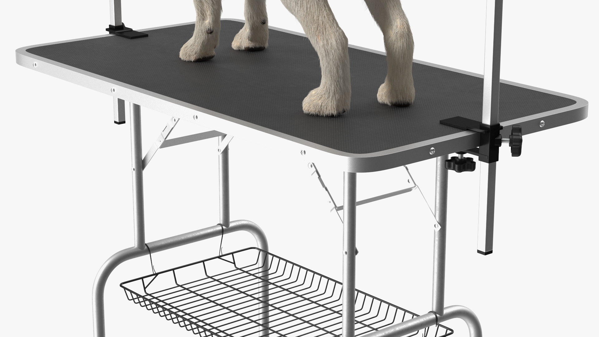 Grooming Table with Dog Fur 3D
