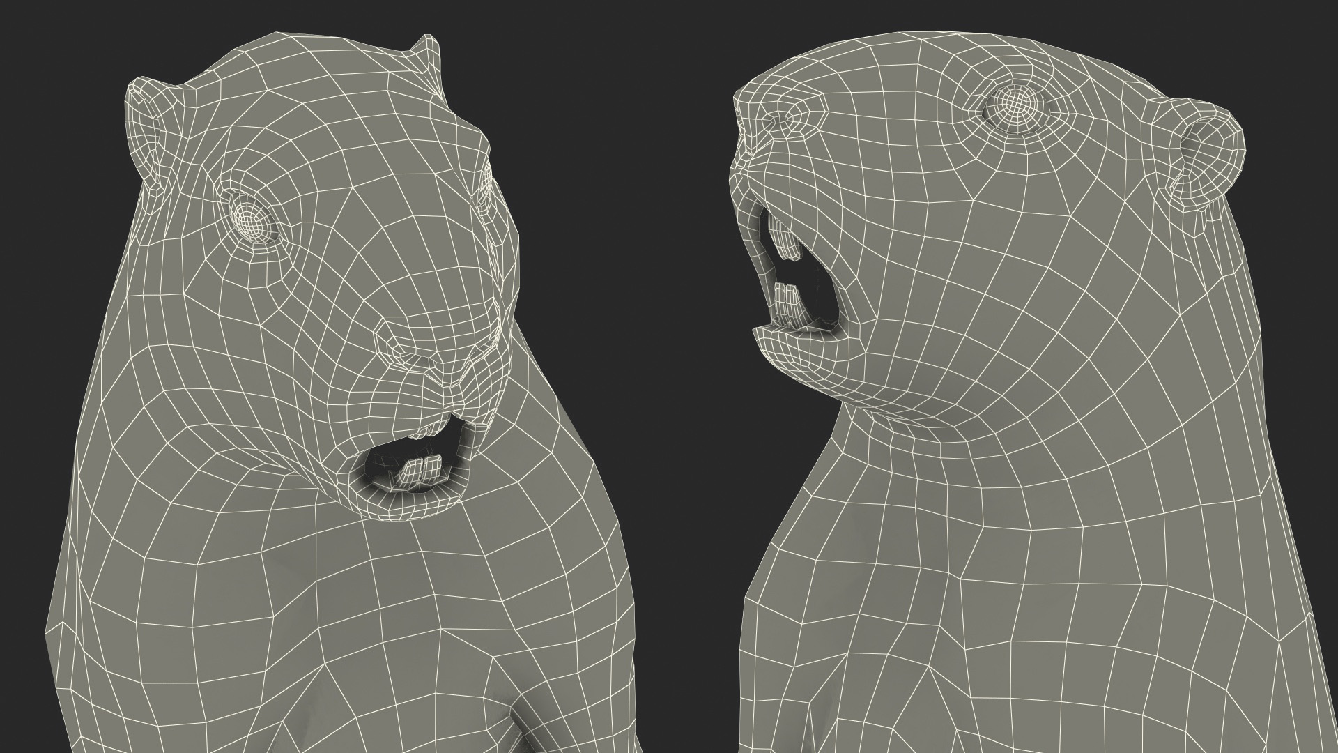 3D model Groundhog Standing on Hind Legs Fur