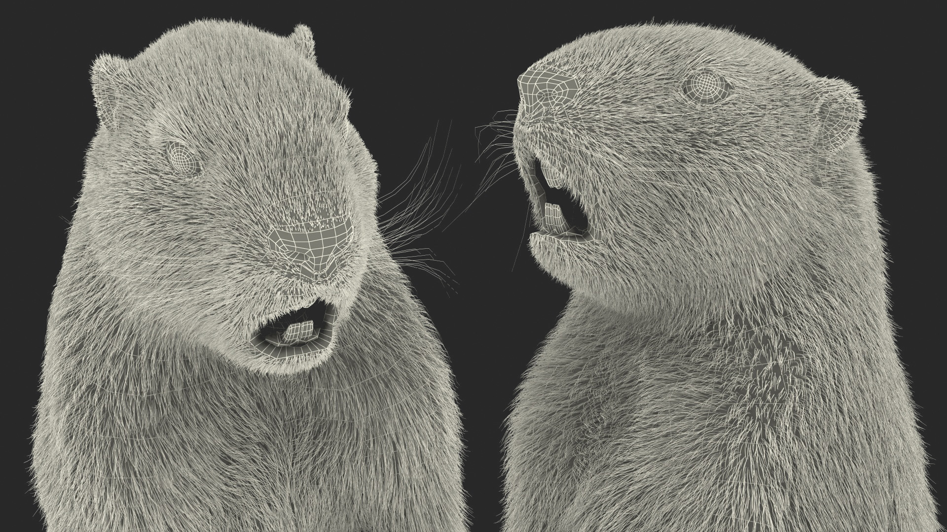 3D model Groundhog Standing on Hind Legs Fur