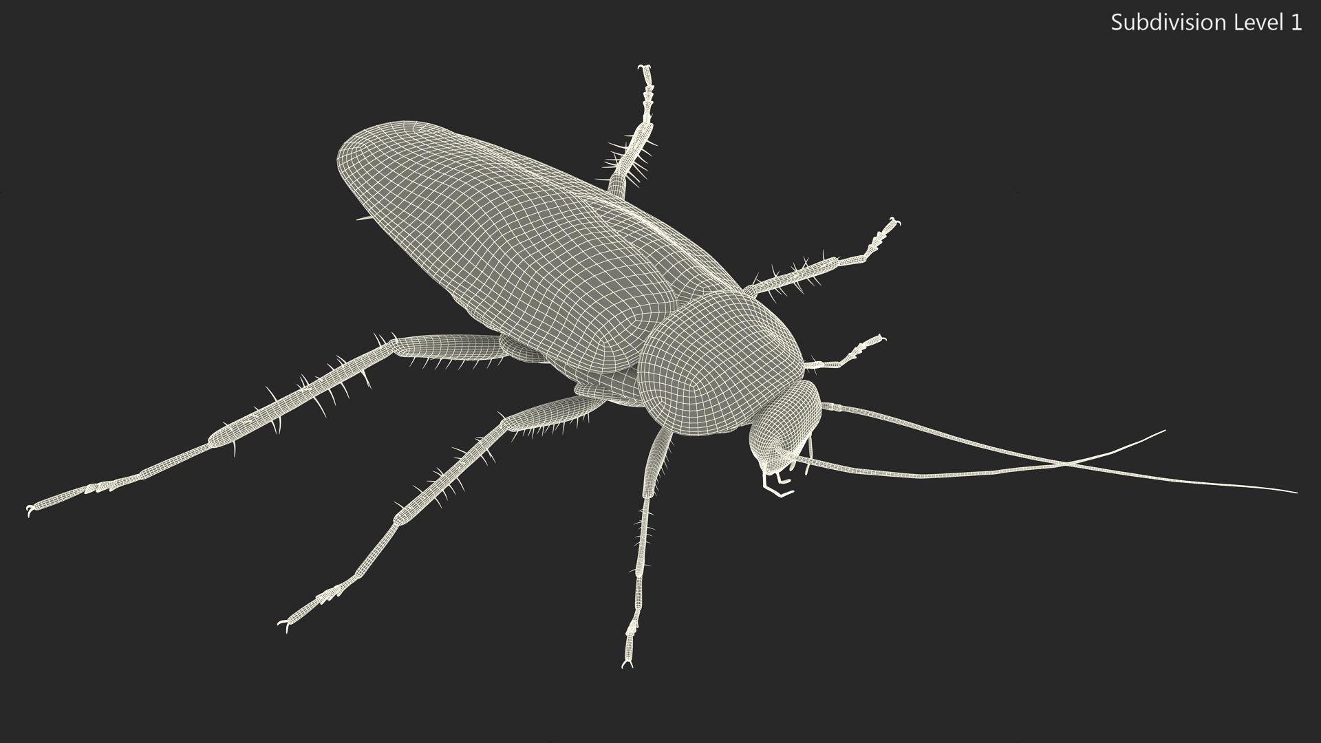 3D Red Flying Cockroach Rigged for Cinema 4D