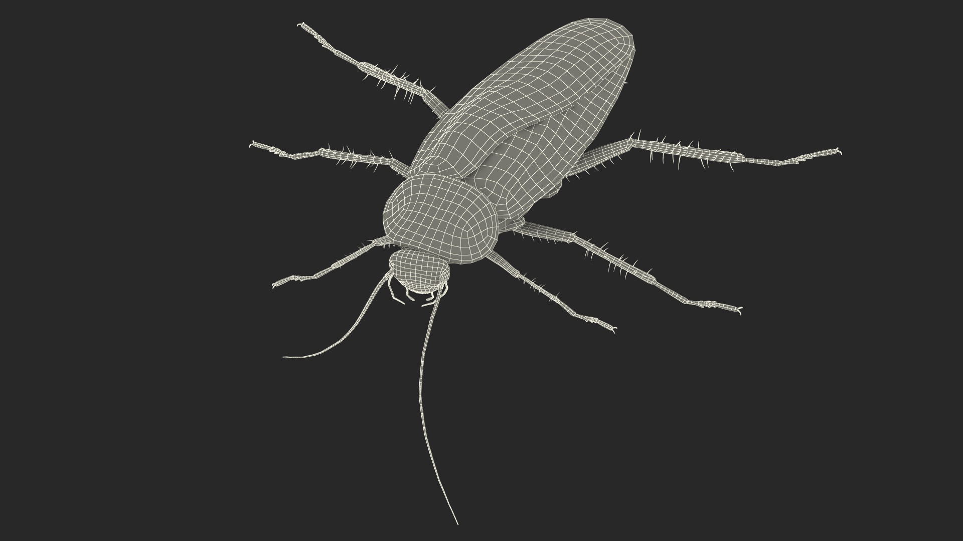 3D Red Flying Cockroach Rigged for Cinema 4D