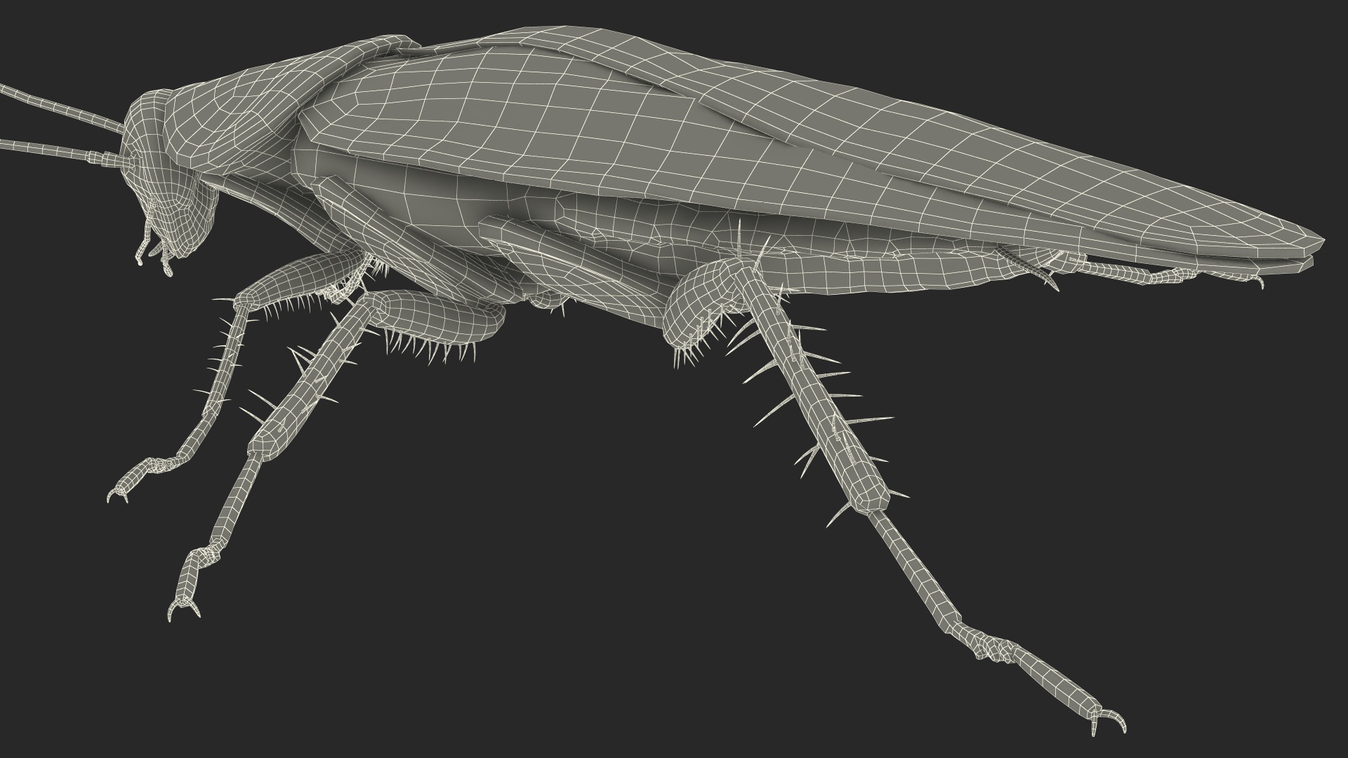 3D Red Flying Cockroach Rigged for Cinema 4D