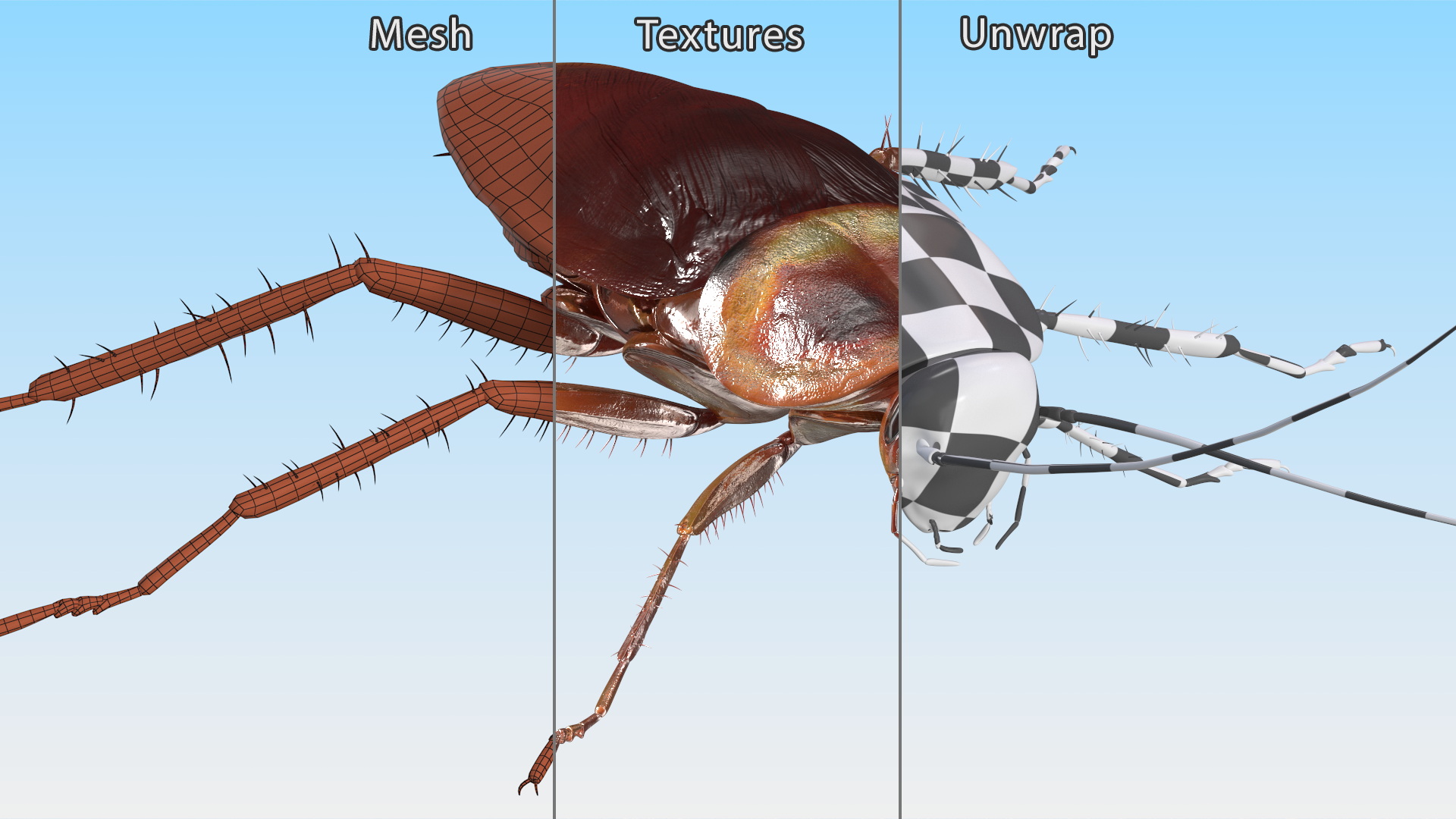 3D Red Flying Cockroach Rigged for Cinema 4D