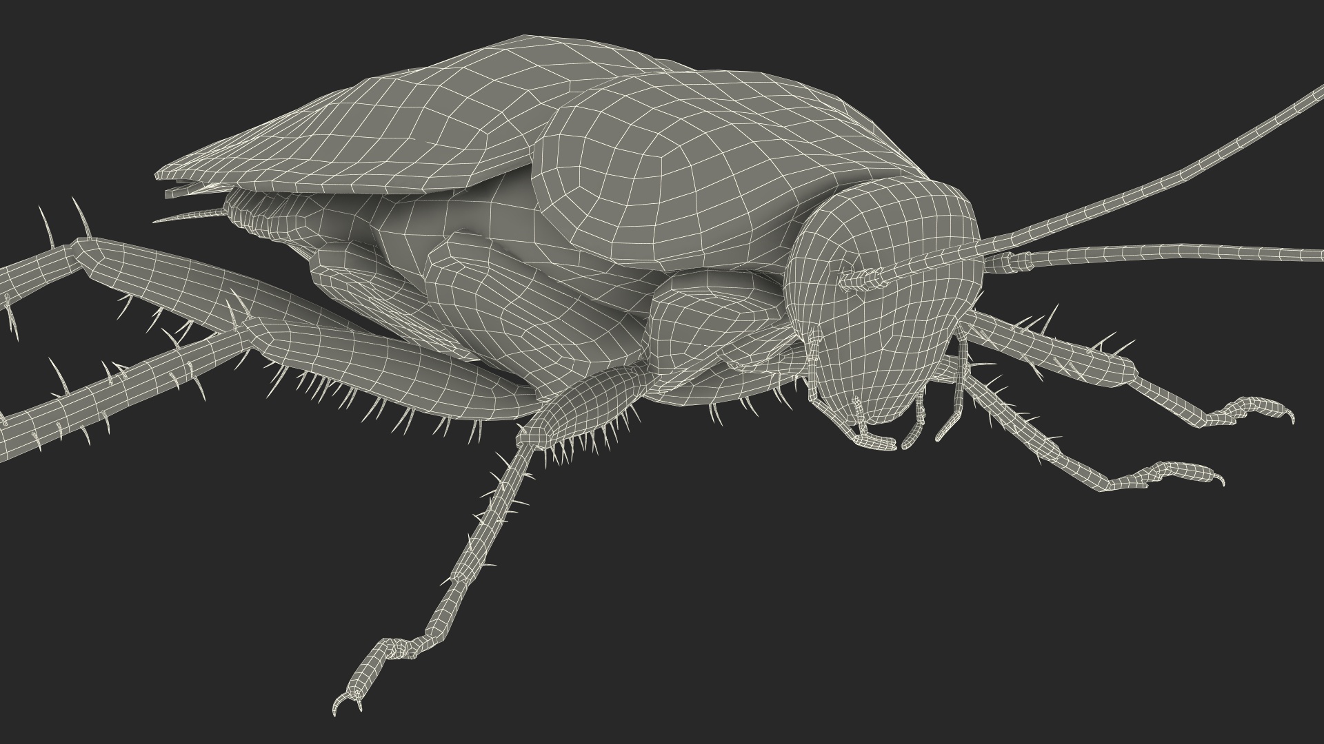 3D Red Flying Cockroach Rigged for Cinema 4D
