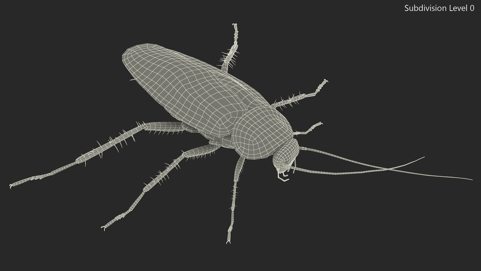 3D Red Flying Cockroach Rigged for Cinema 4D