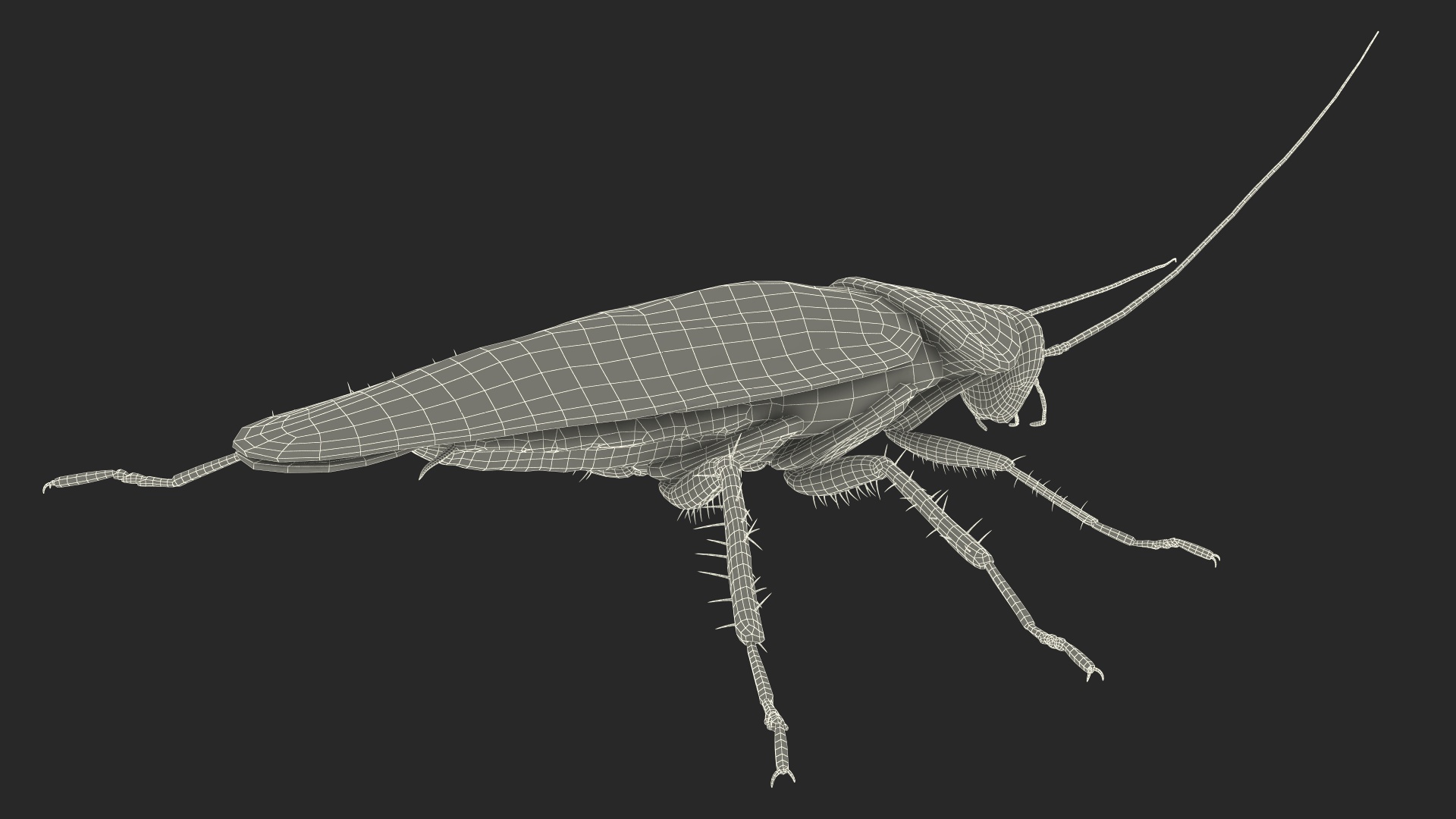 3D Red Flying Cockroach Rigged for Cinema 4D
