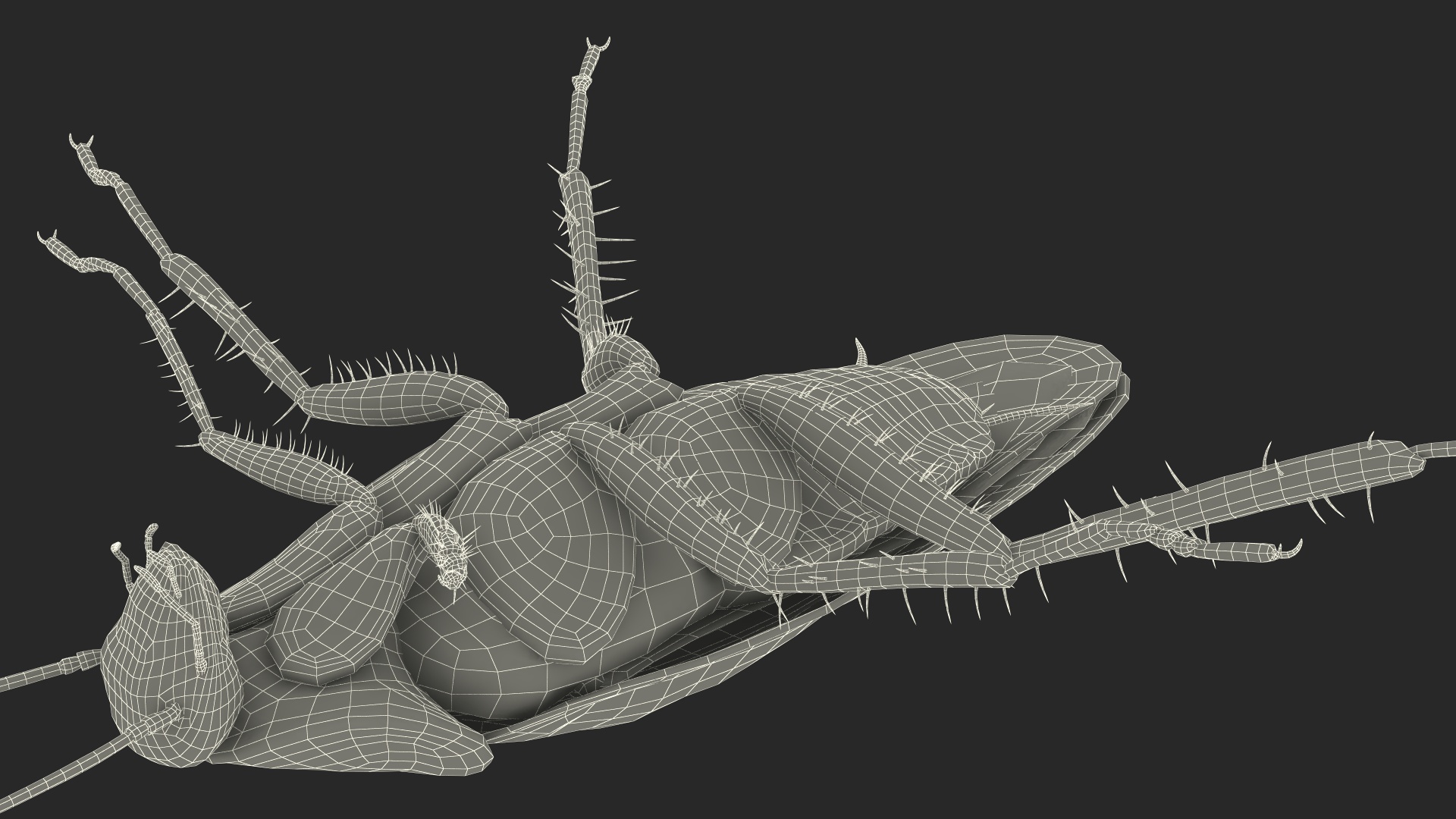 3D Red Flying Cockroach Rigged for Cinema 4D