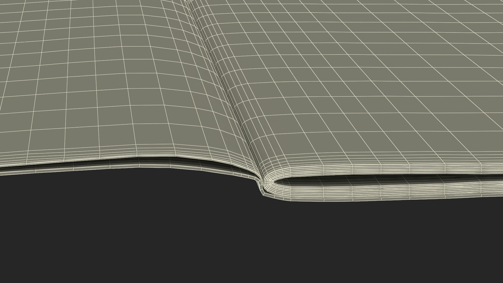 USA Passport Open Page 3D