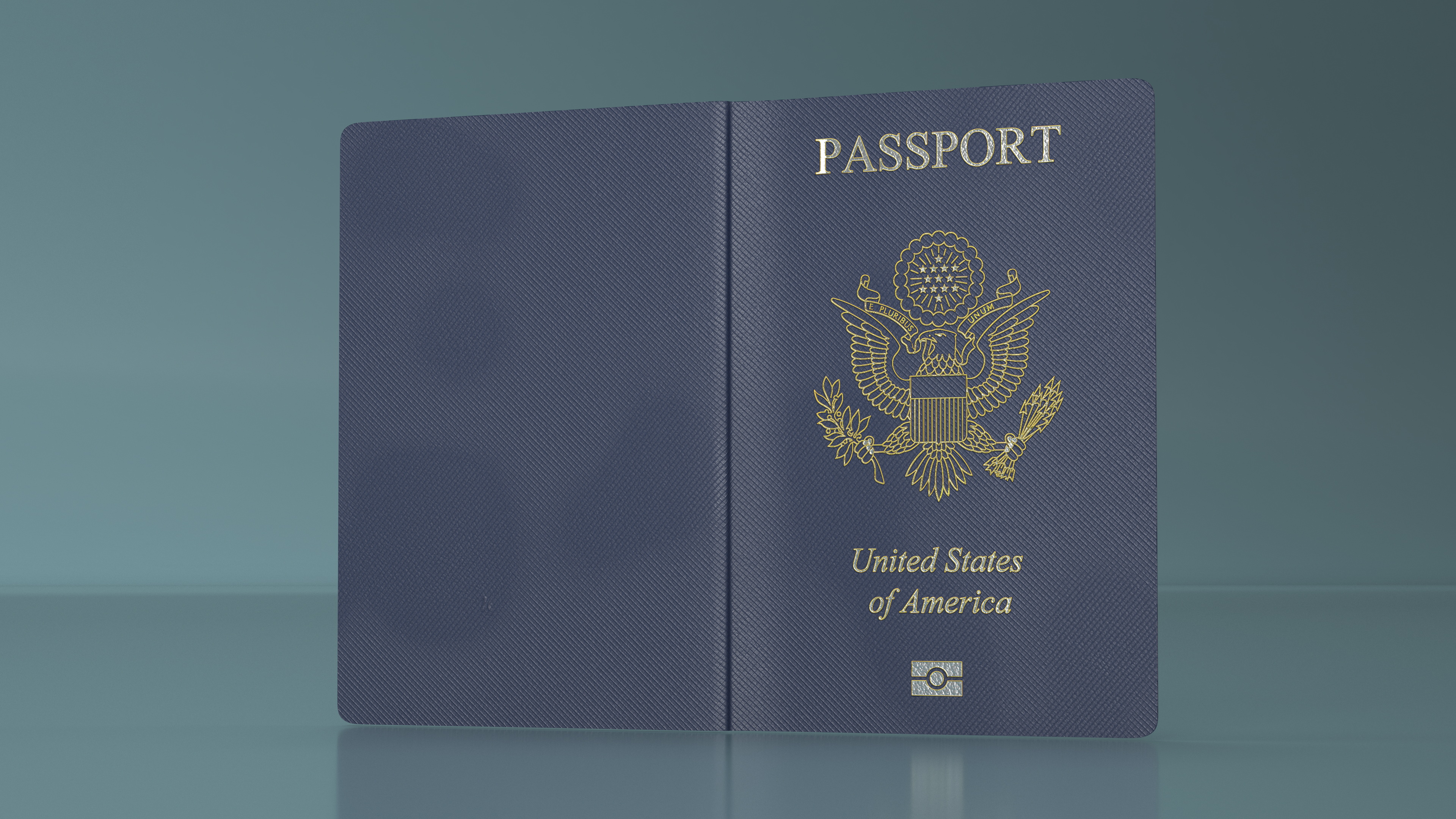 USA Passport Open Page 3D