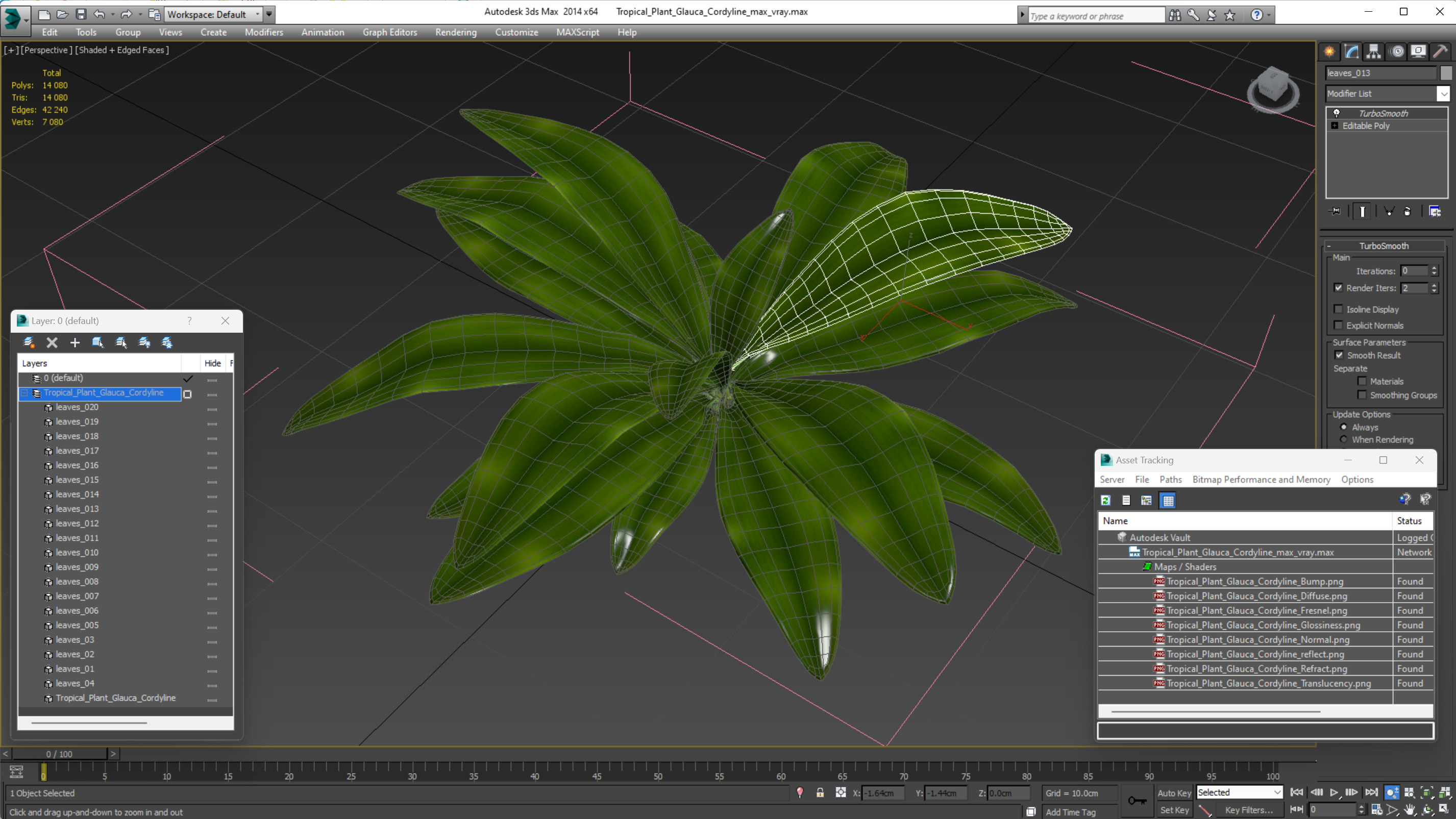 3D Tropical Plant Glauca Cordyline
