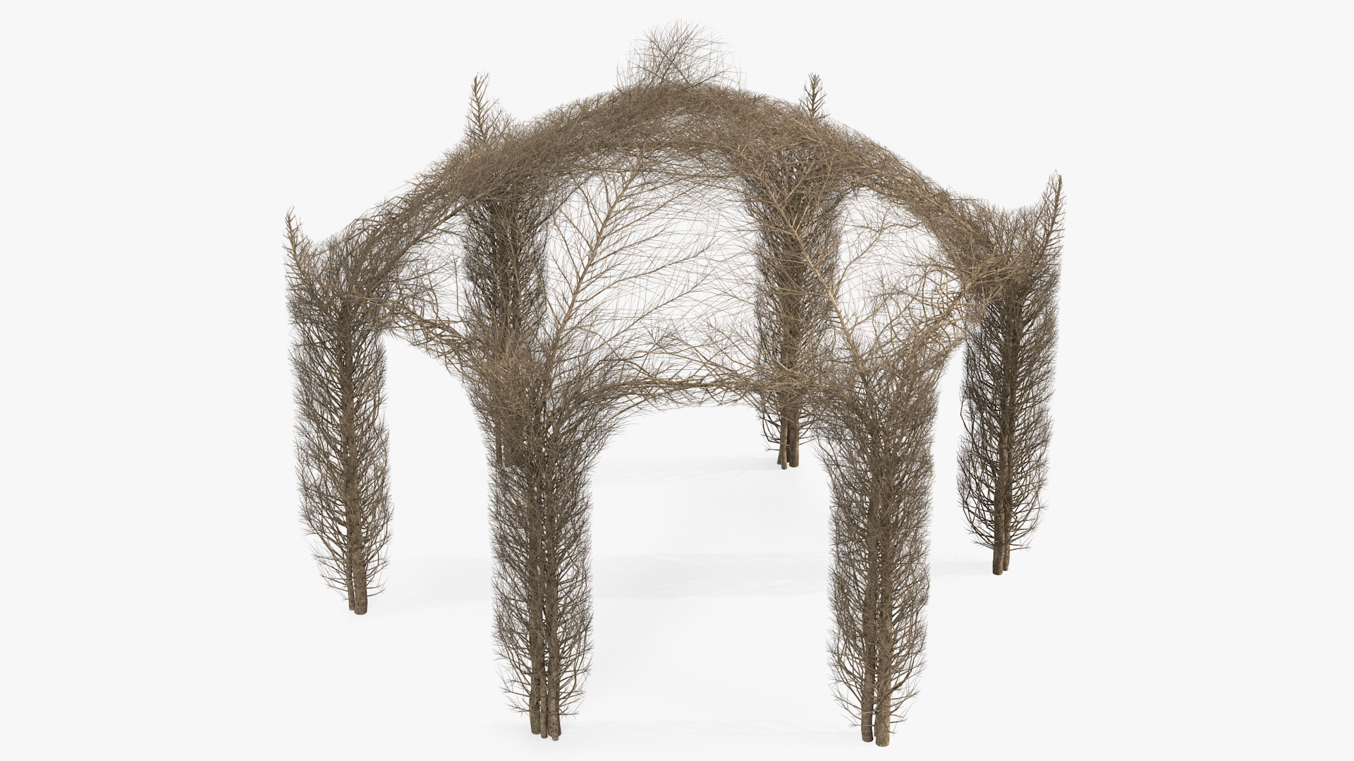 3D Branch Gazebo model