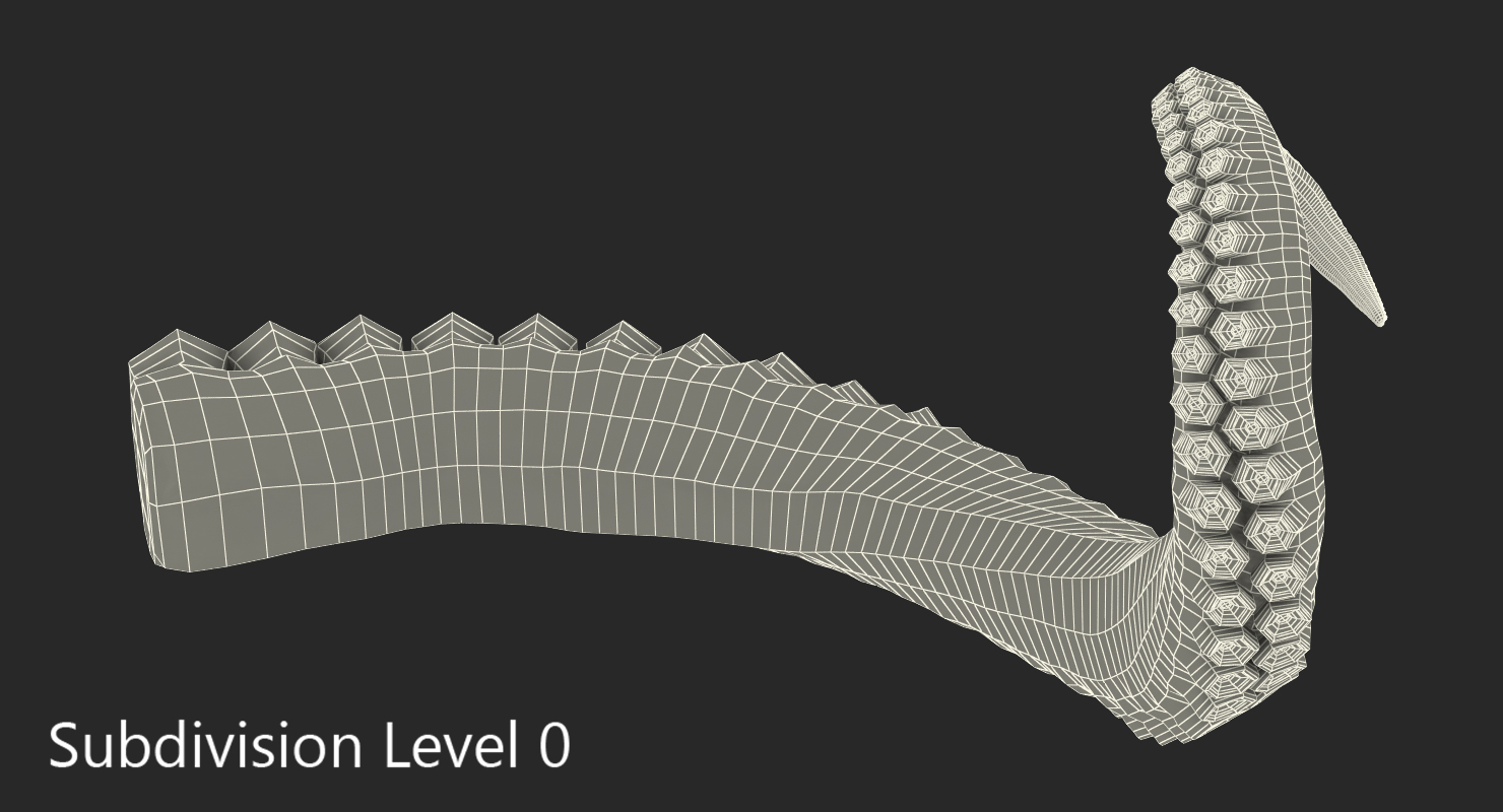 Tentacle of Octopus 3D model